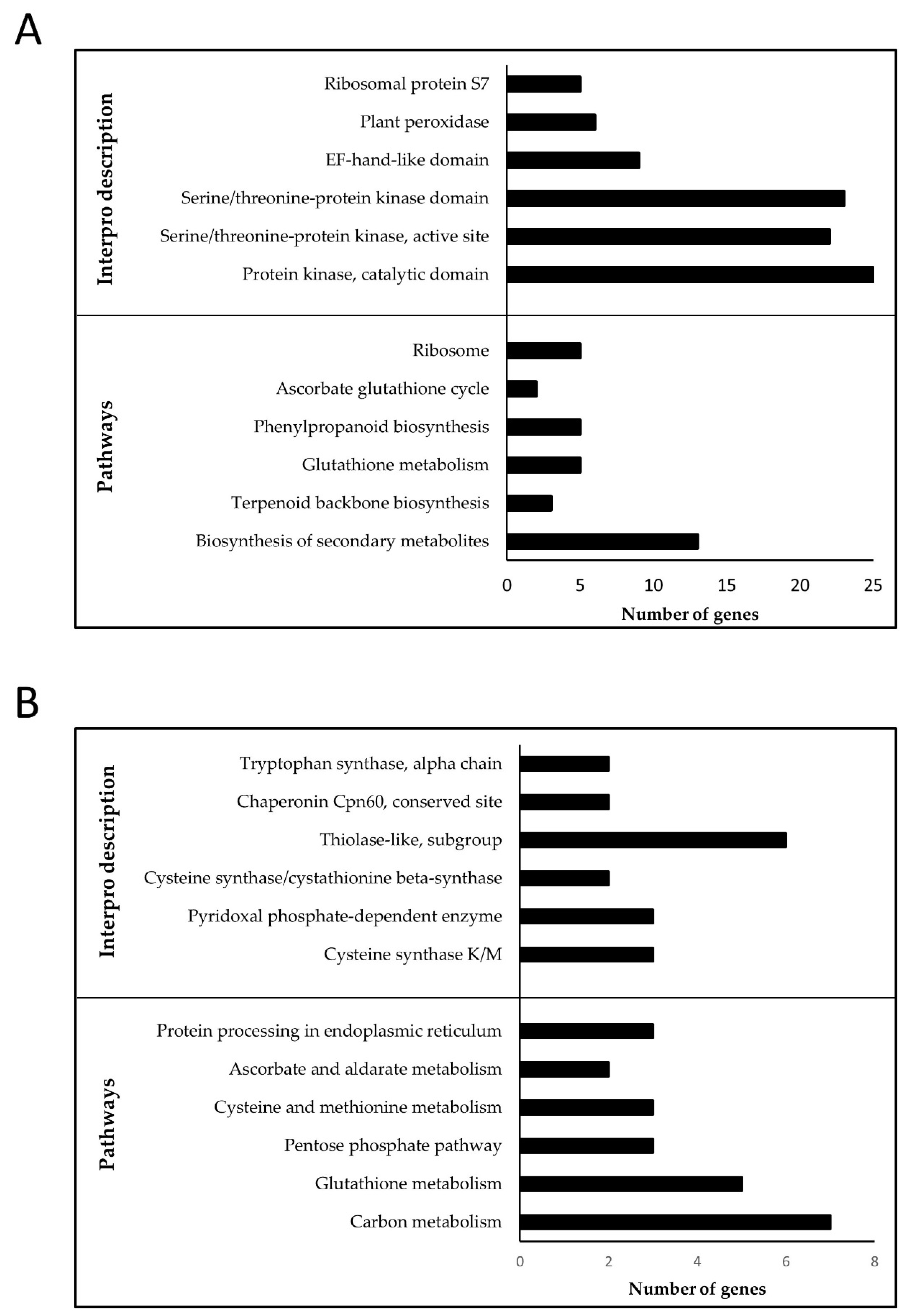 Genes 11 01124 g008