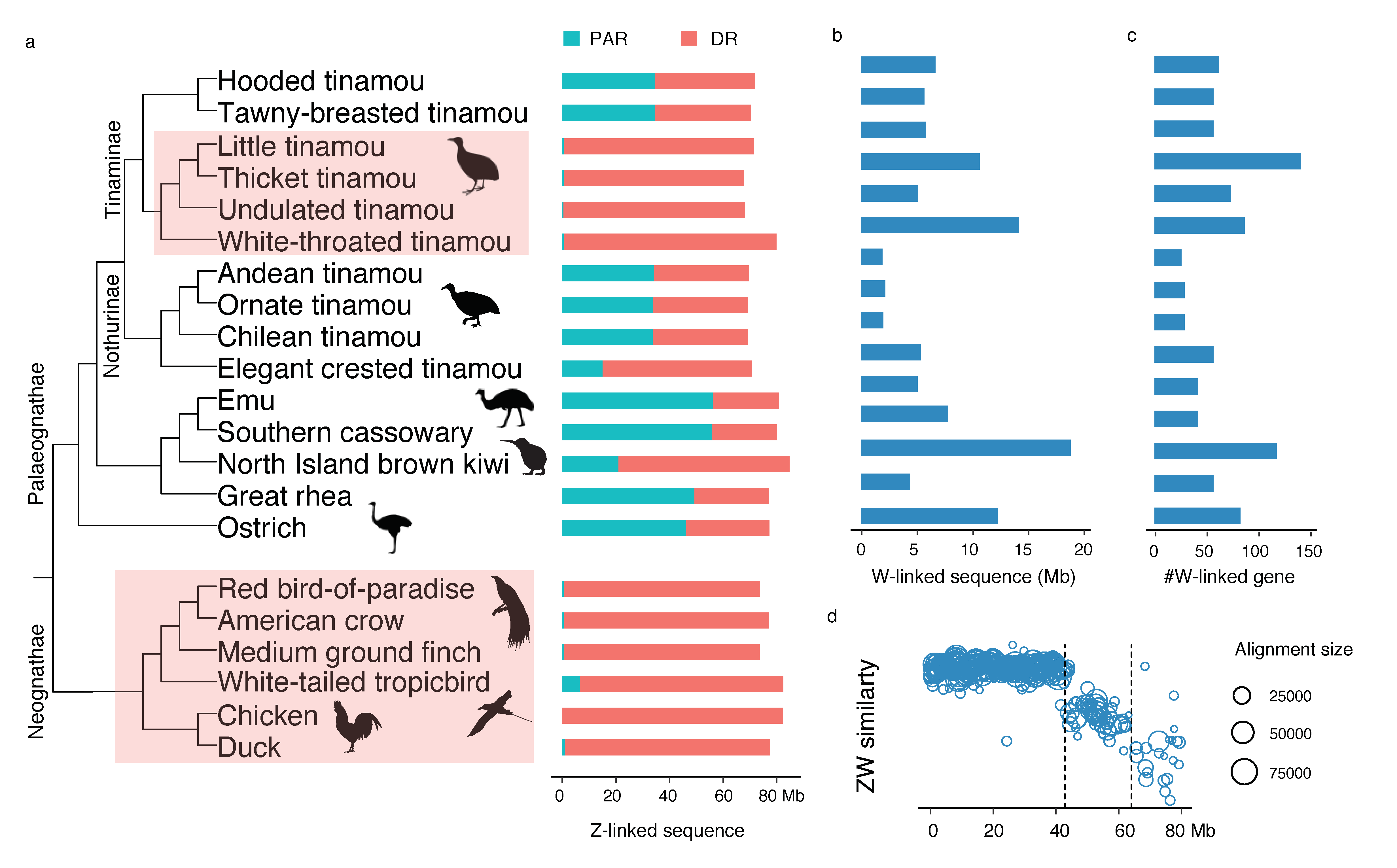Genes 11 01126 g001 Genes 11 01126 g001