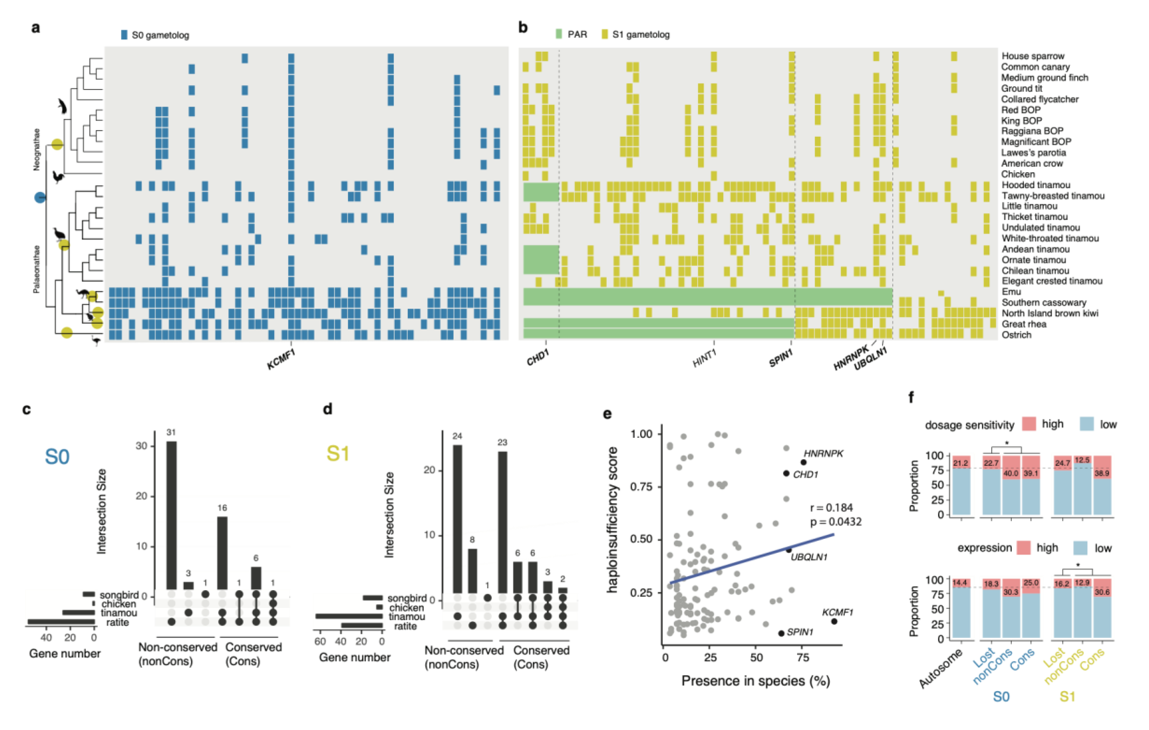 Genes 11 01126 g003 Genes 11 01126 g003