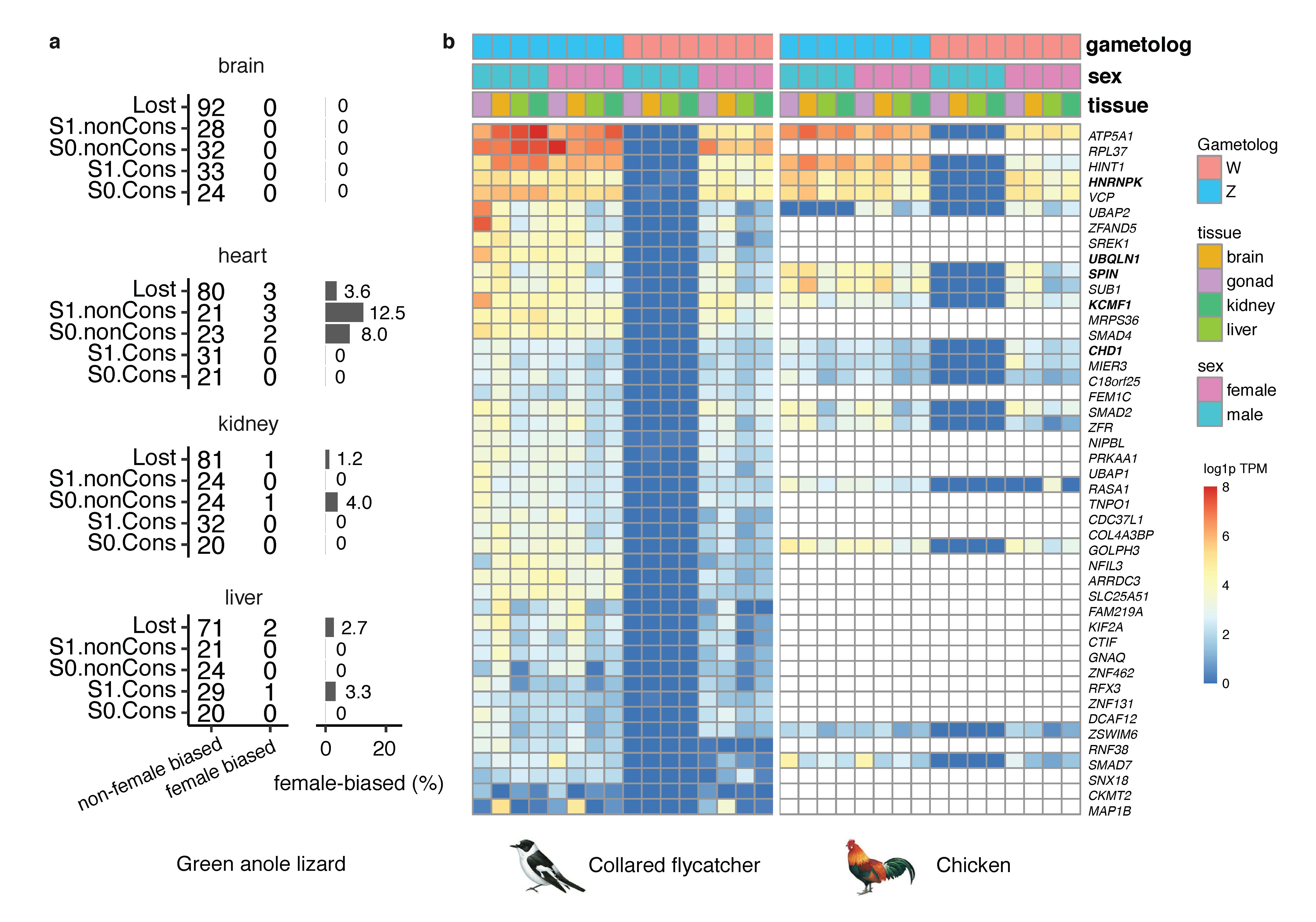 Genes 11 01126 g004 Genes 11 01126 g004
