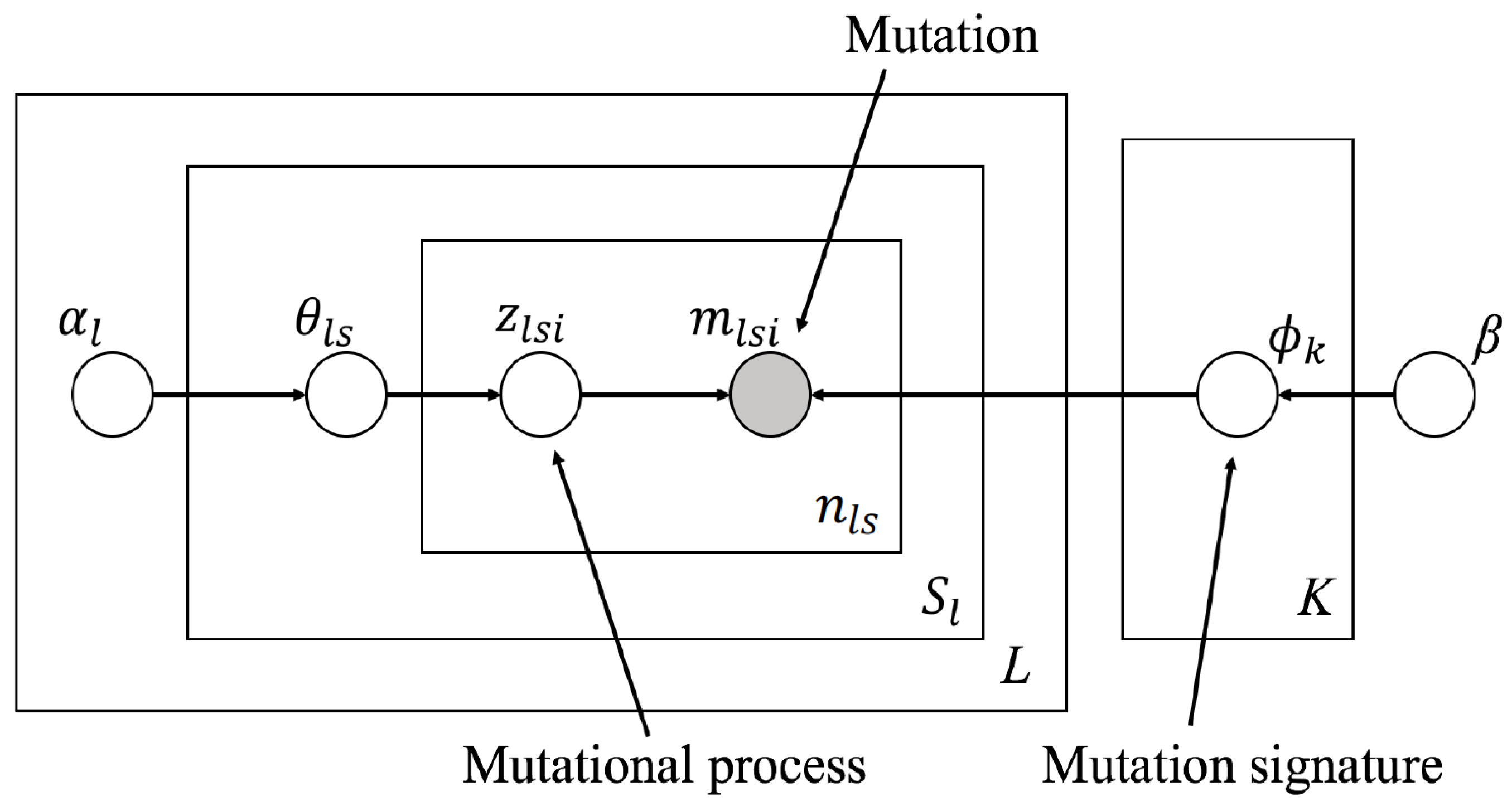 Genes 11 01127 g002 Genes 11 01127 g002