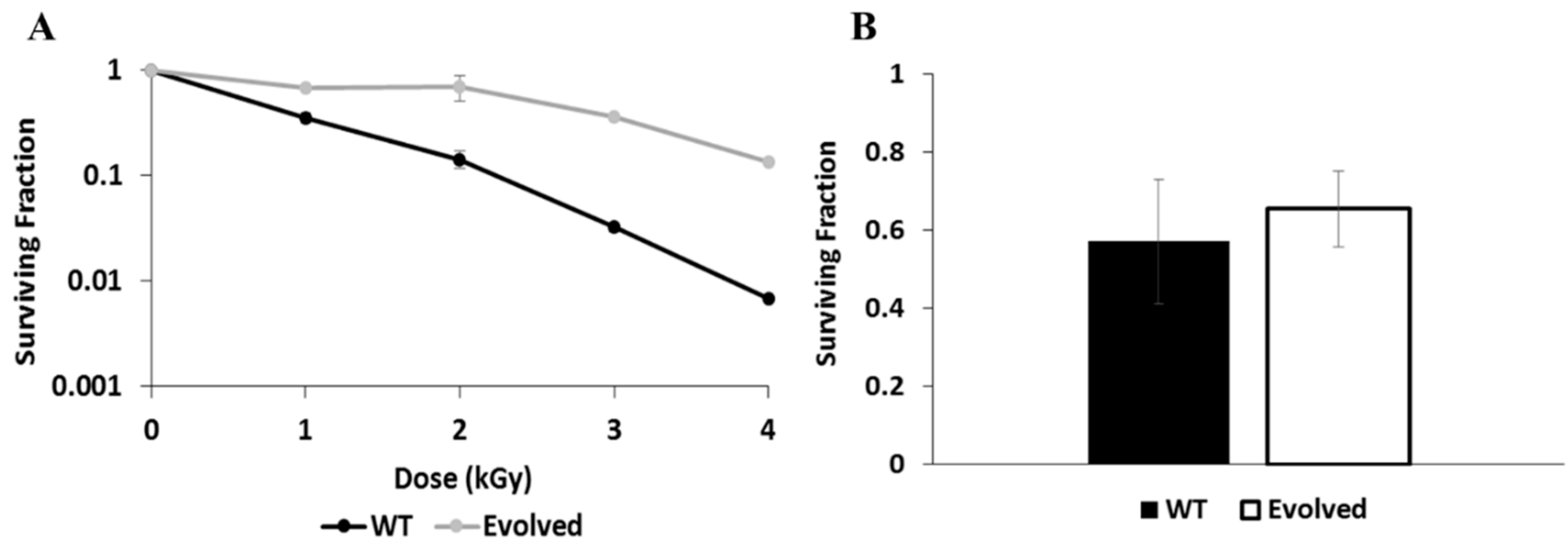 Genes 11 01128 g001 Genes 11 01128 g001