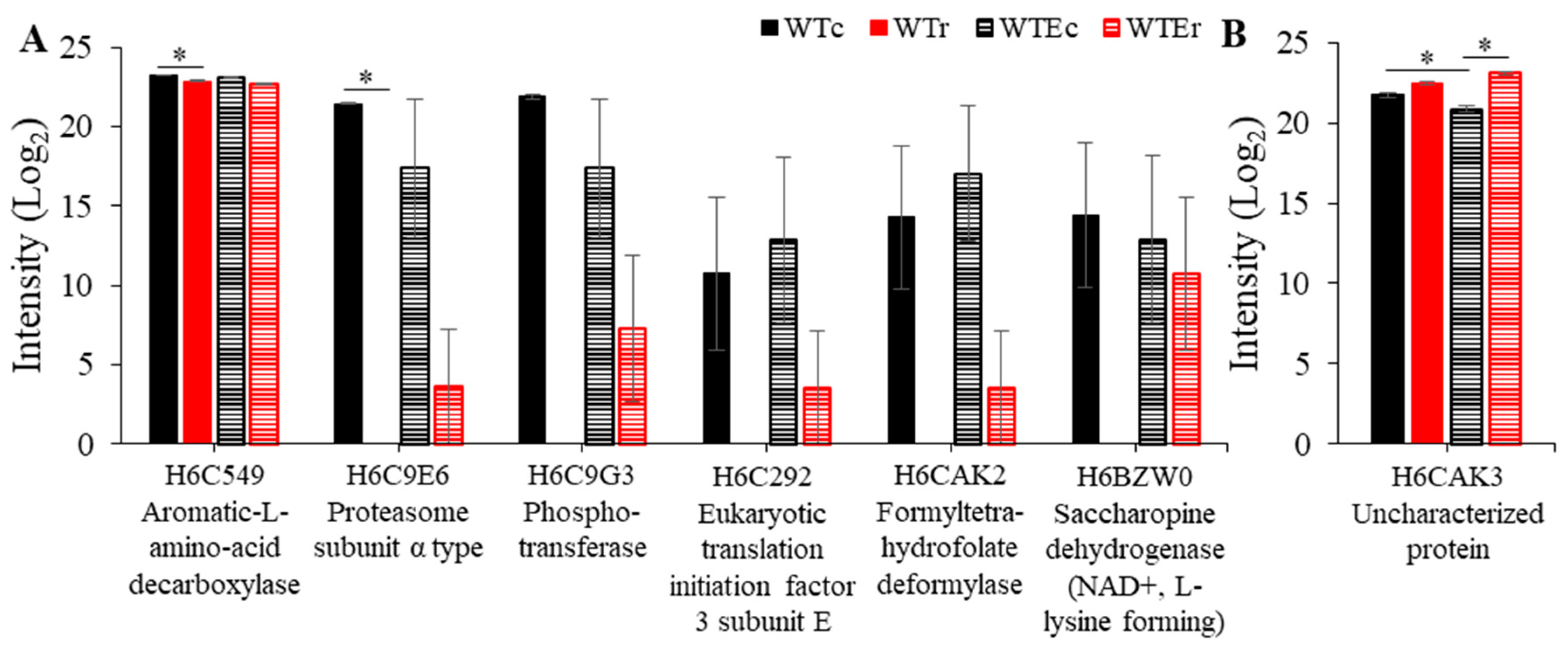 Genes 11 01128 g003 Genes 11 01128 g003