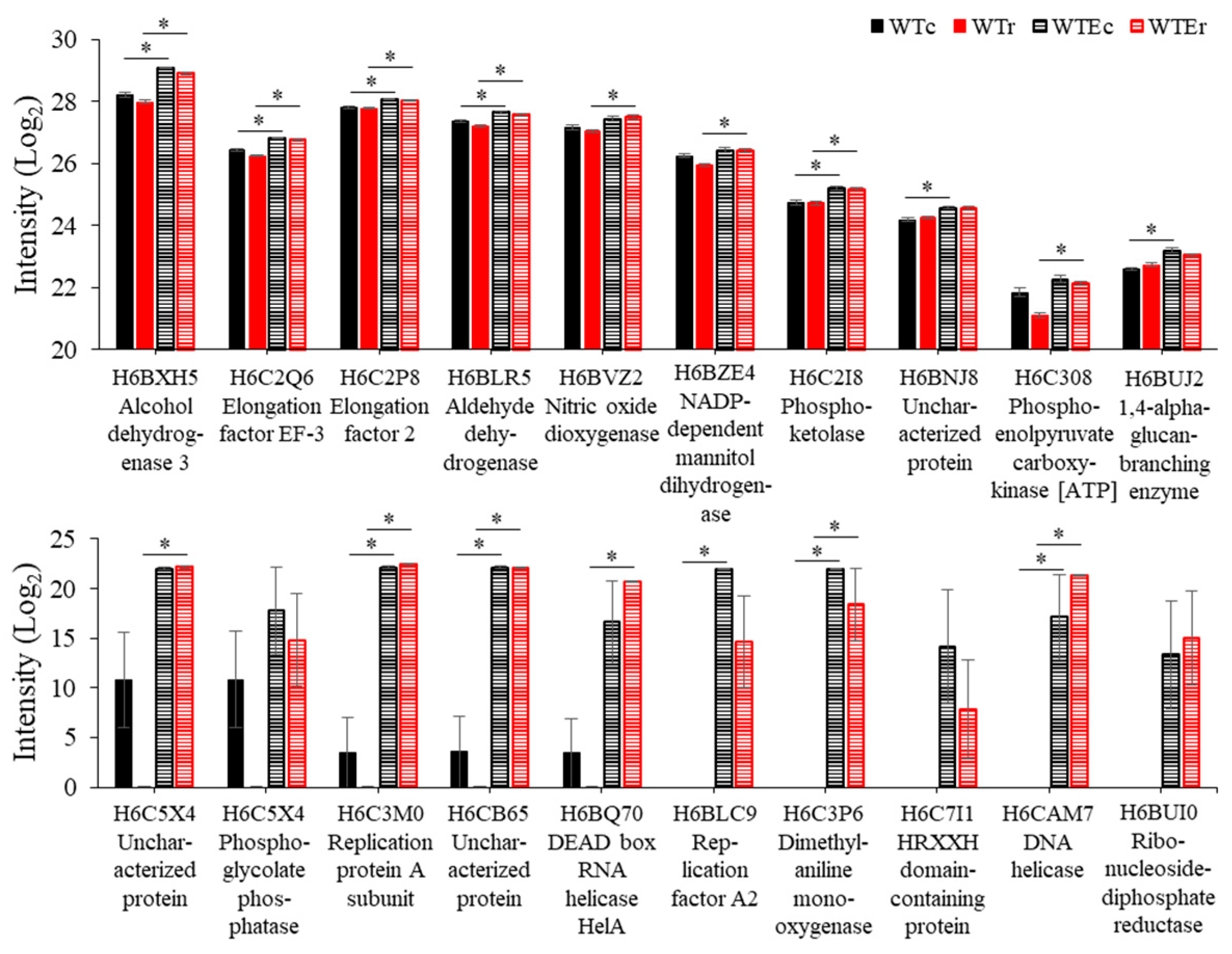 Genes 11 01128 g005 Genes 11 01128 g005