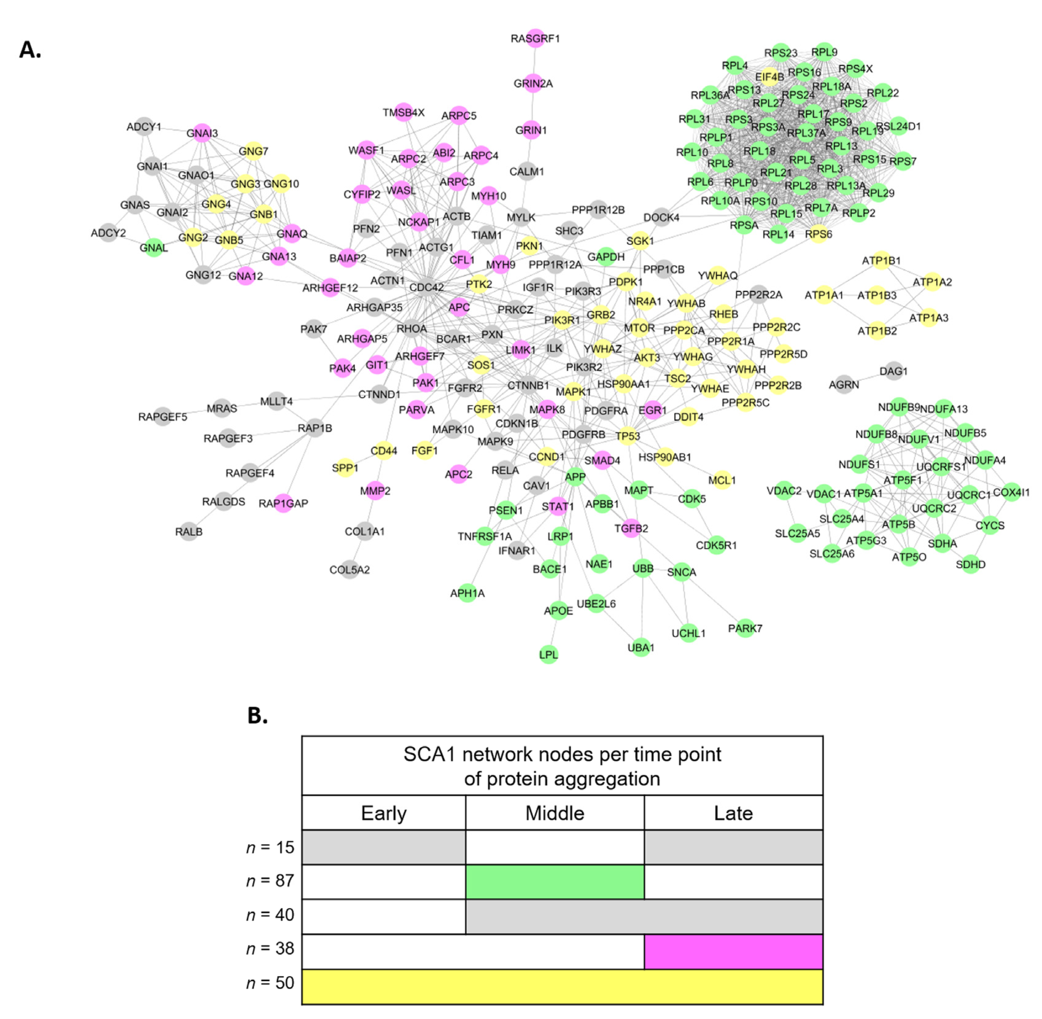 Genes 11 01129 g002 Genes 11 01129 g002