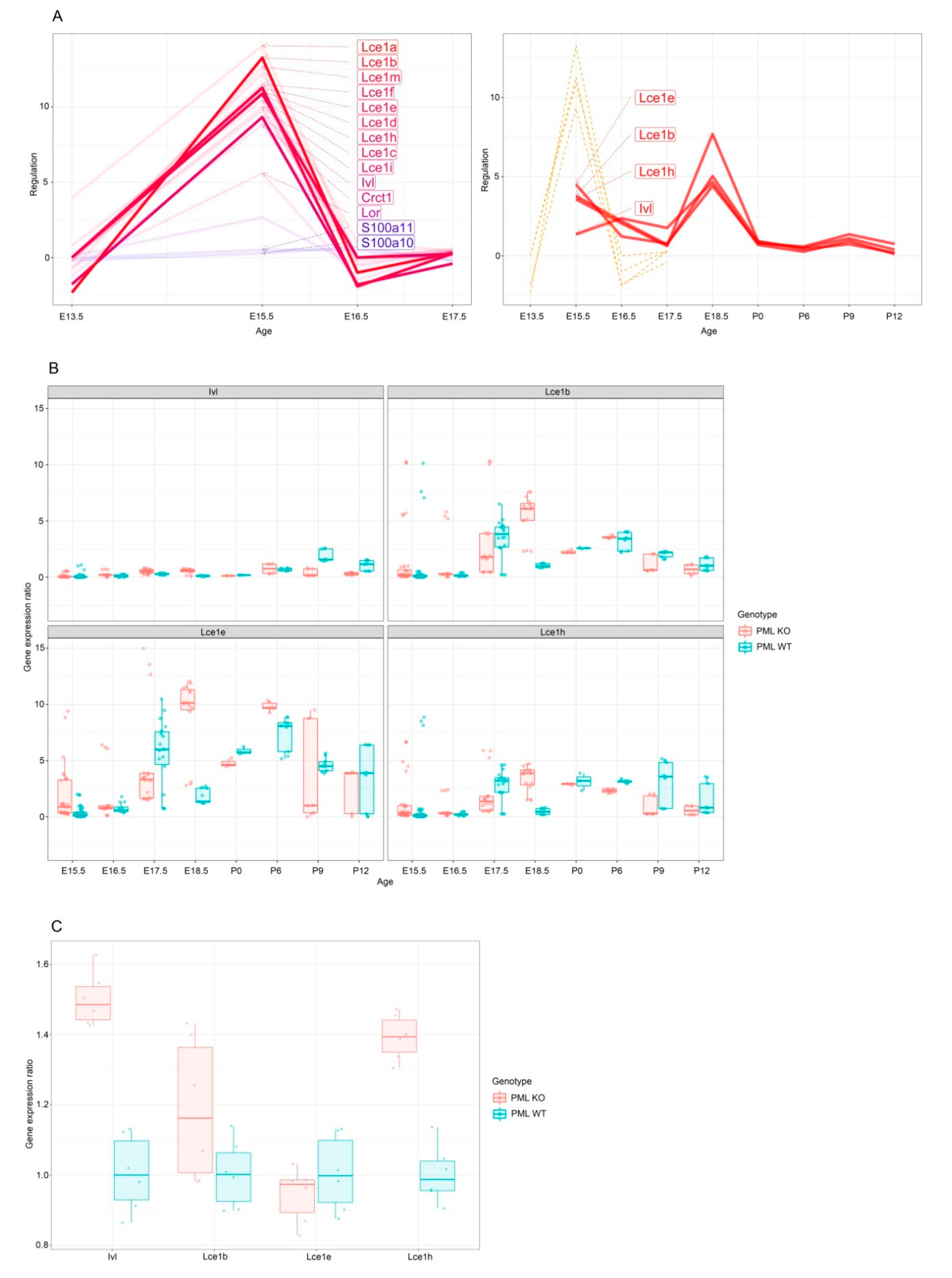 Genes 11 01130 g002
