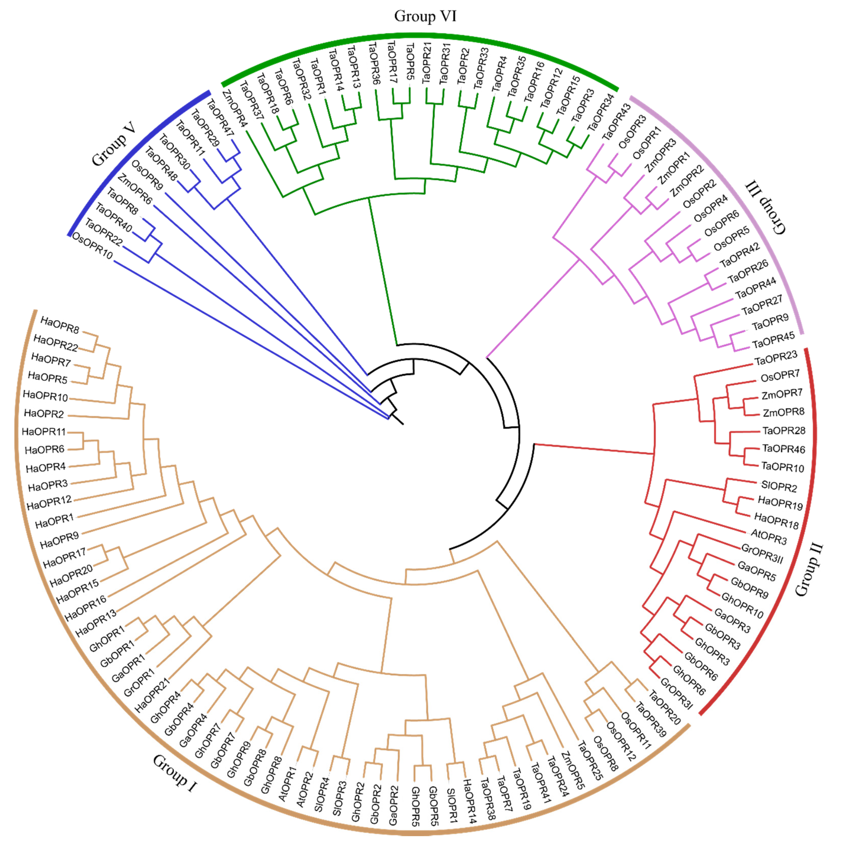 Genes 11 01134 g001 Genes 11 01134 g001