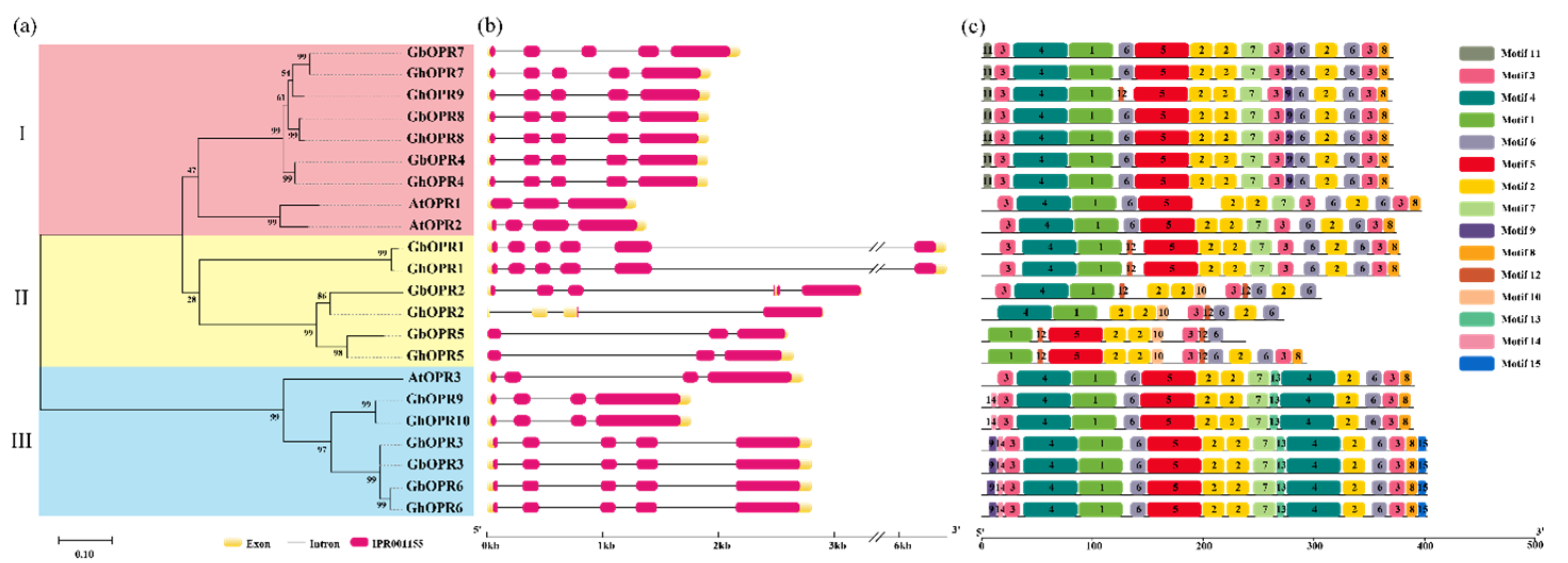 Genes 11 01134 g002 Genes 11 01134 g002