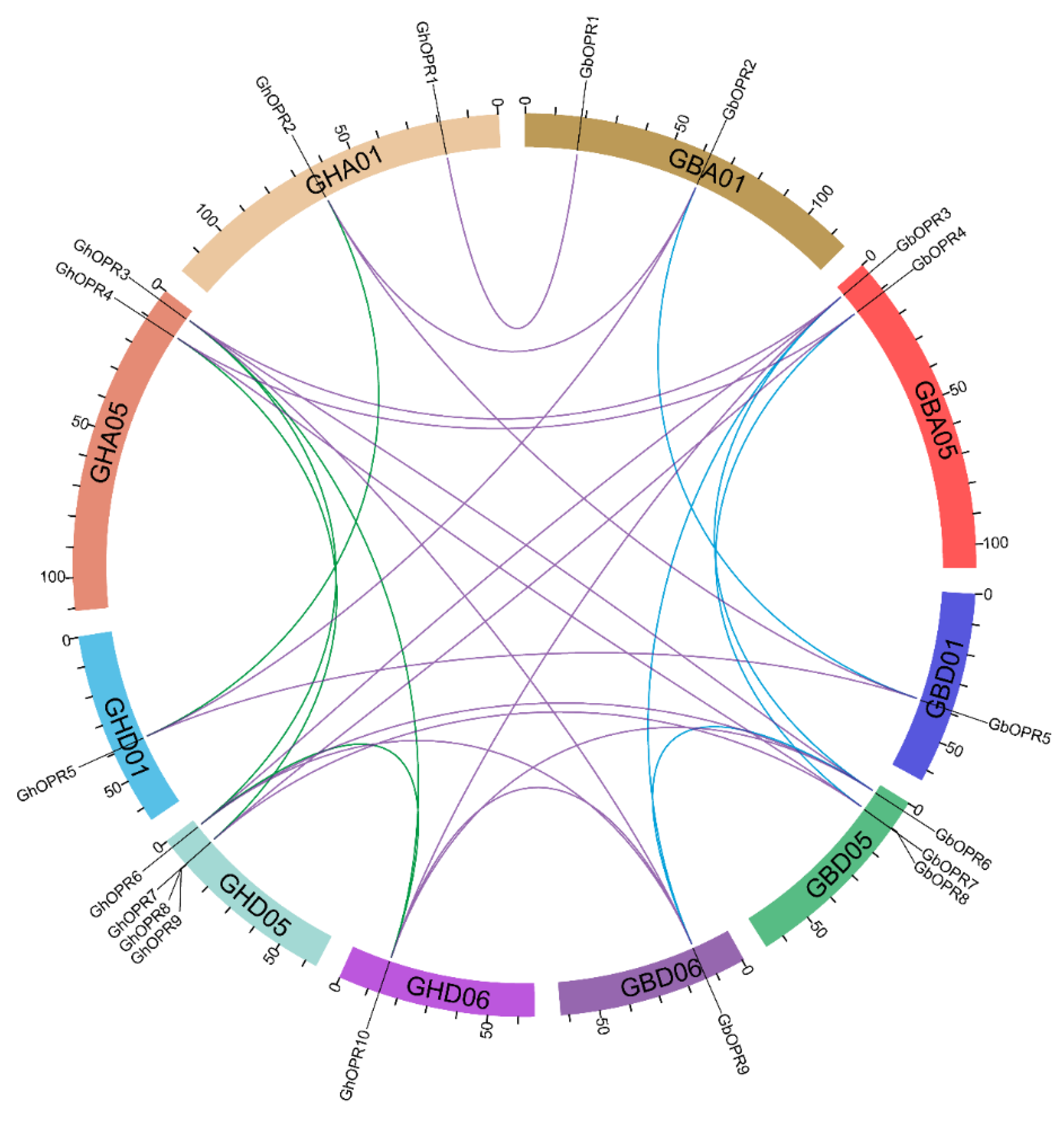 Genes 11 01134 g003 Genes 11 01134 g003