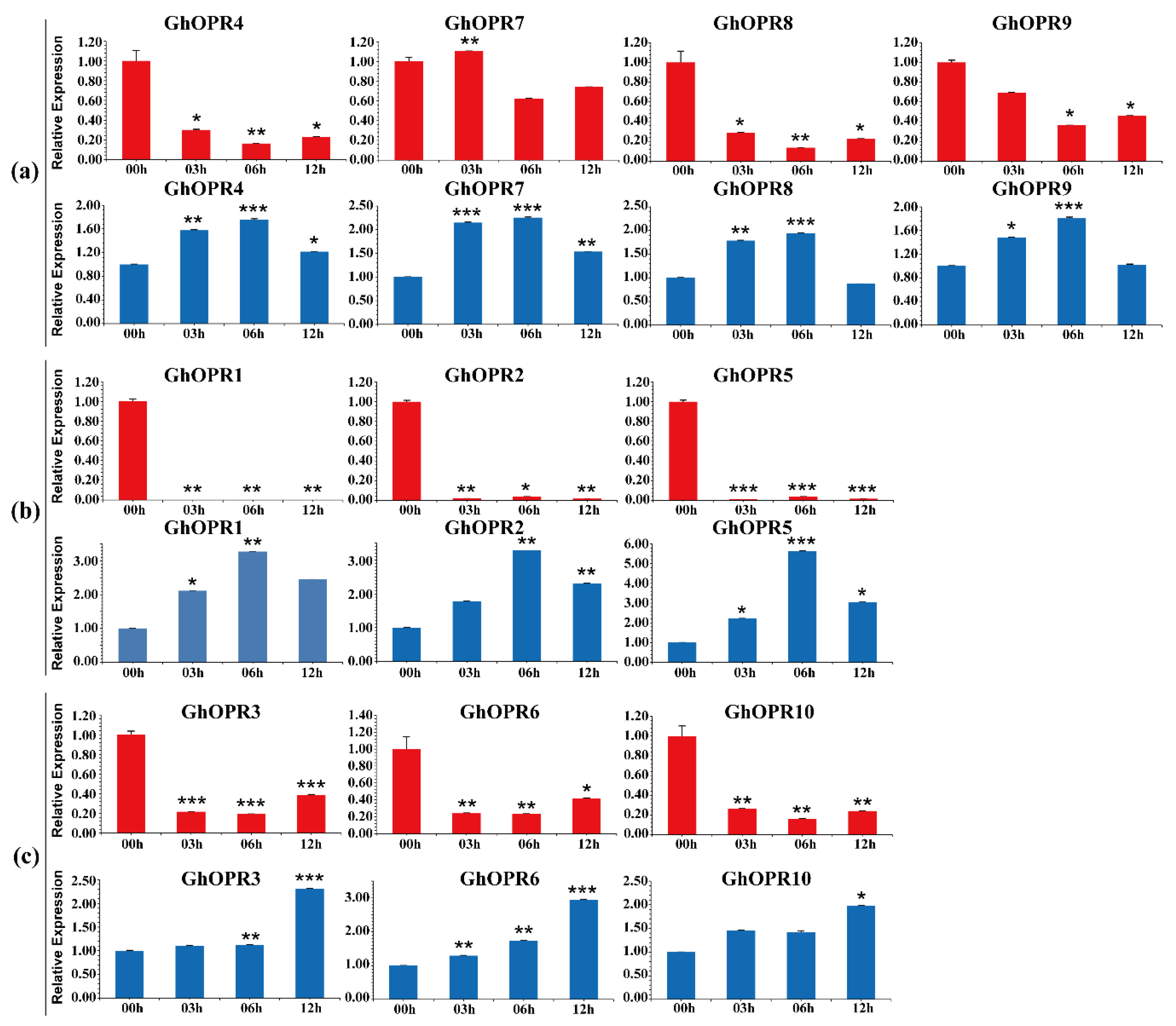 Genes 11 01134 g004 Genes 11 01134 g004