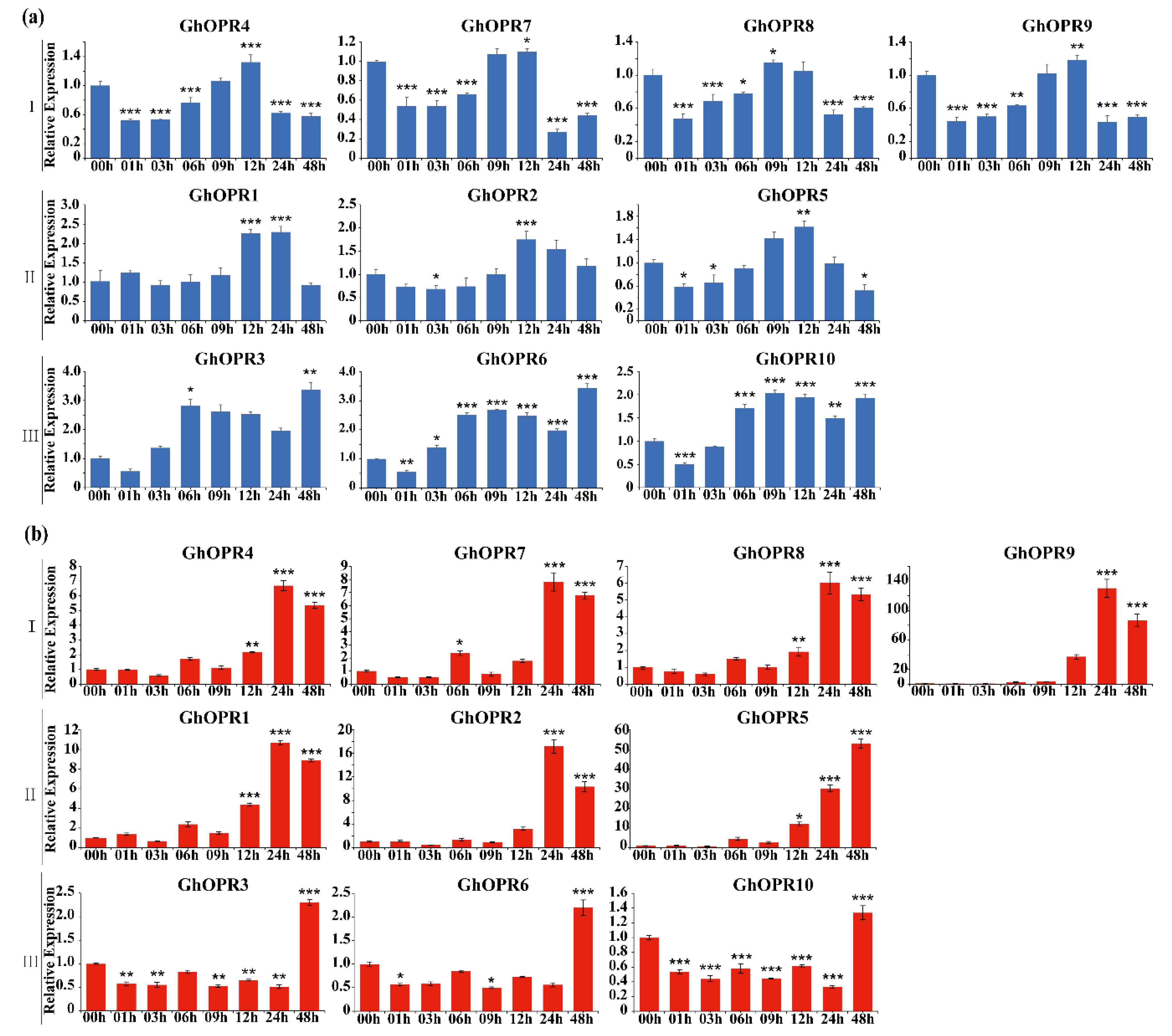 Genes 11 01134 g005a Genes 11 01134 g005a