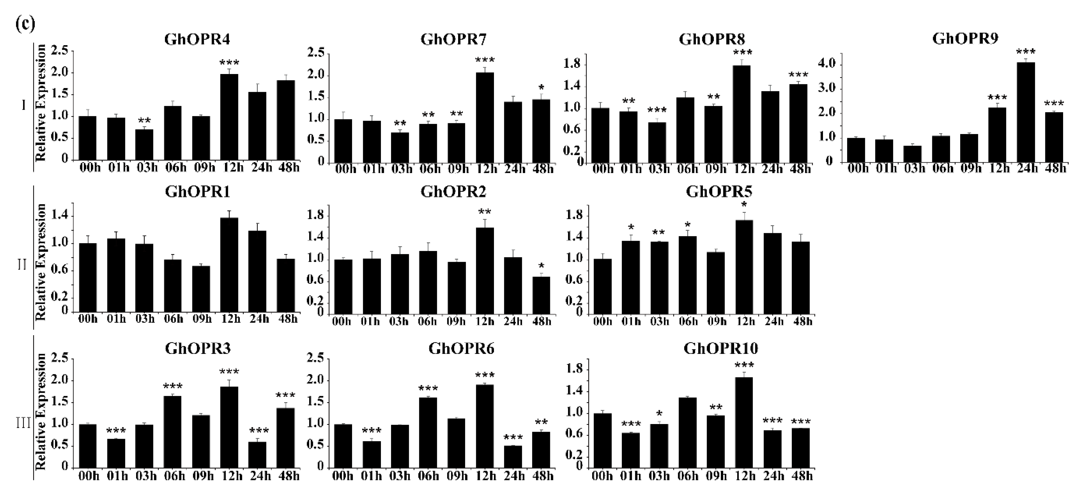 Genes 11 01134 g005b Genes 11 01134 g005b