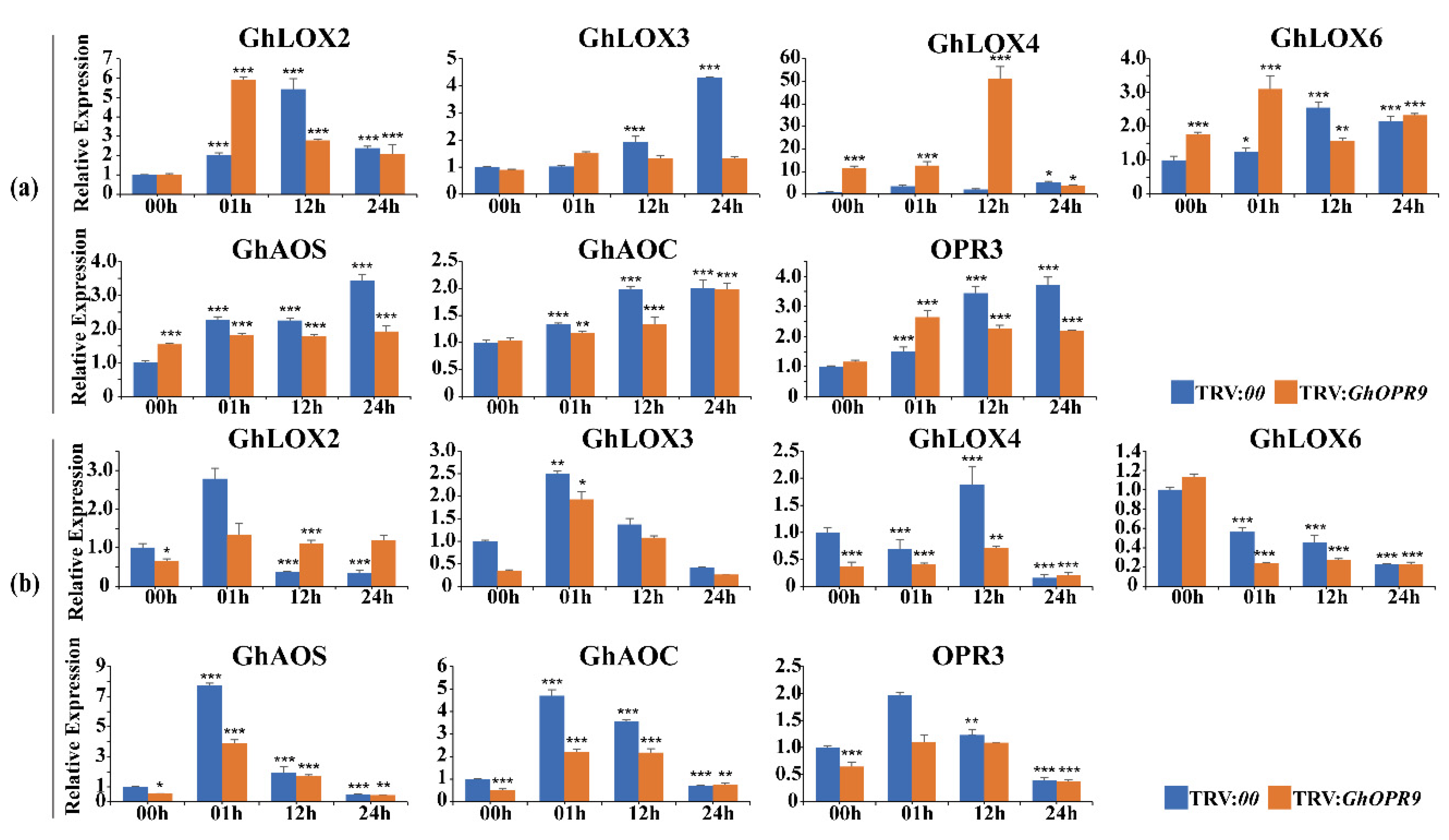 Genes 11 01134 g007 Genes 11 01134 g007