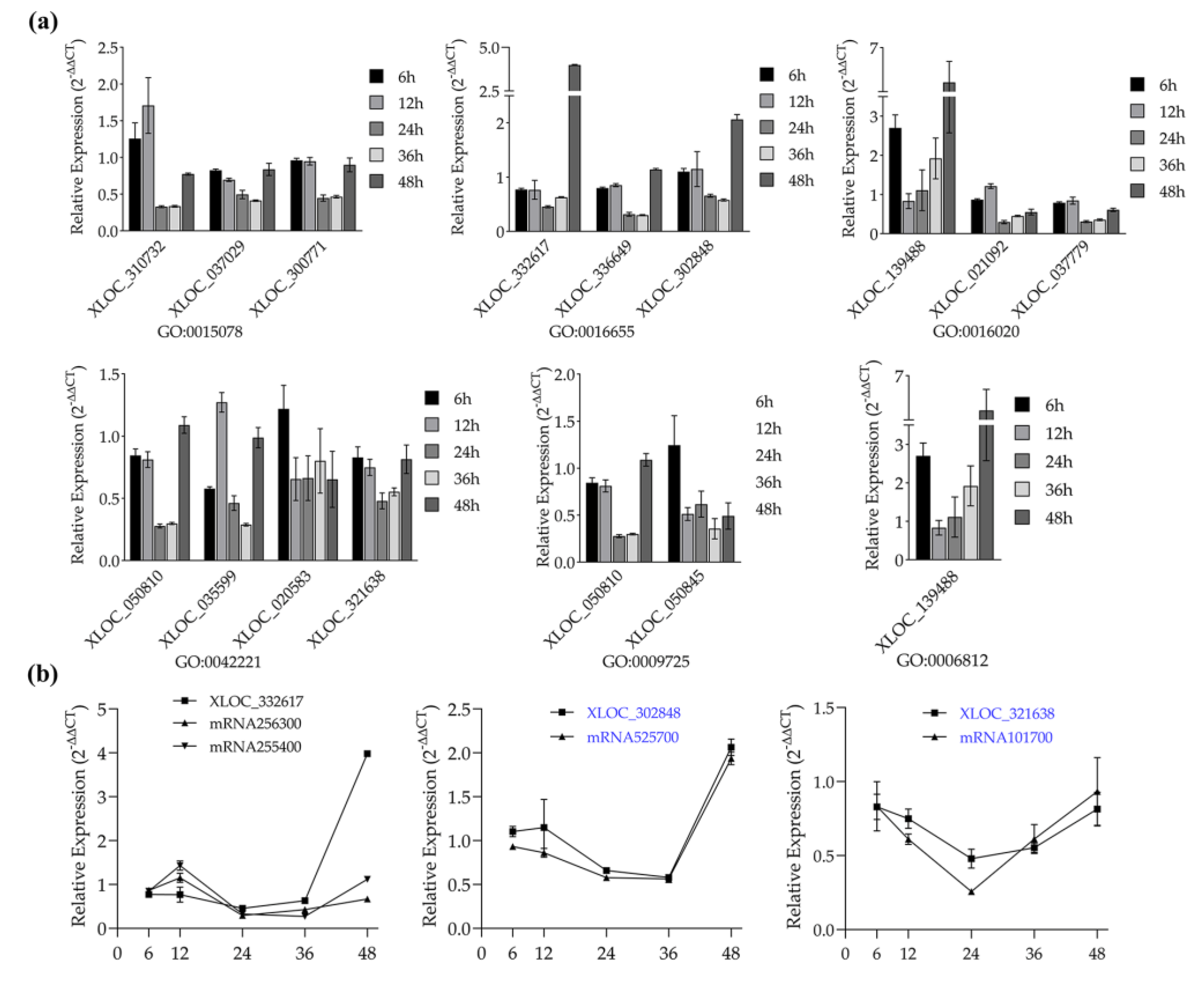 Genes 11 01135 g007 Genes 11 01135 g007
