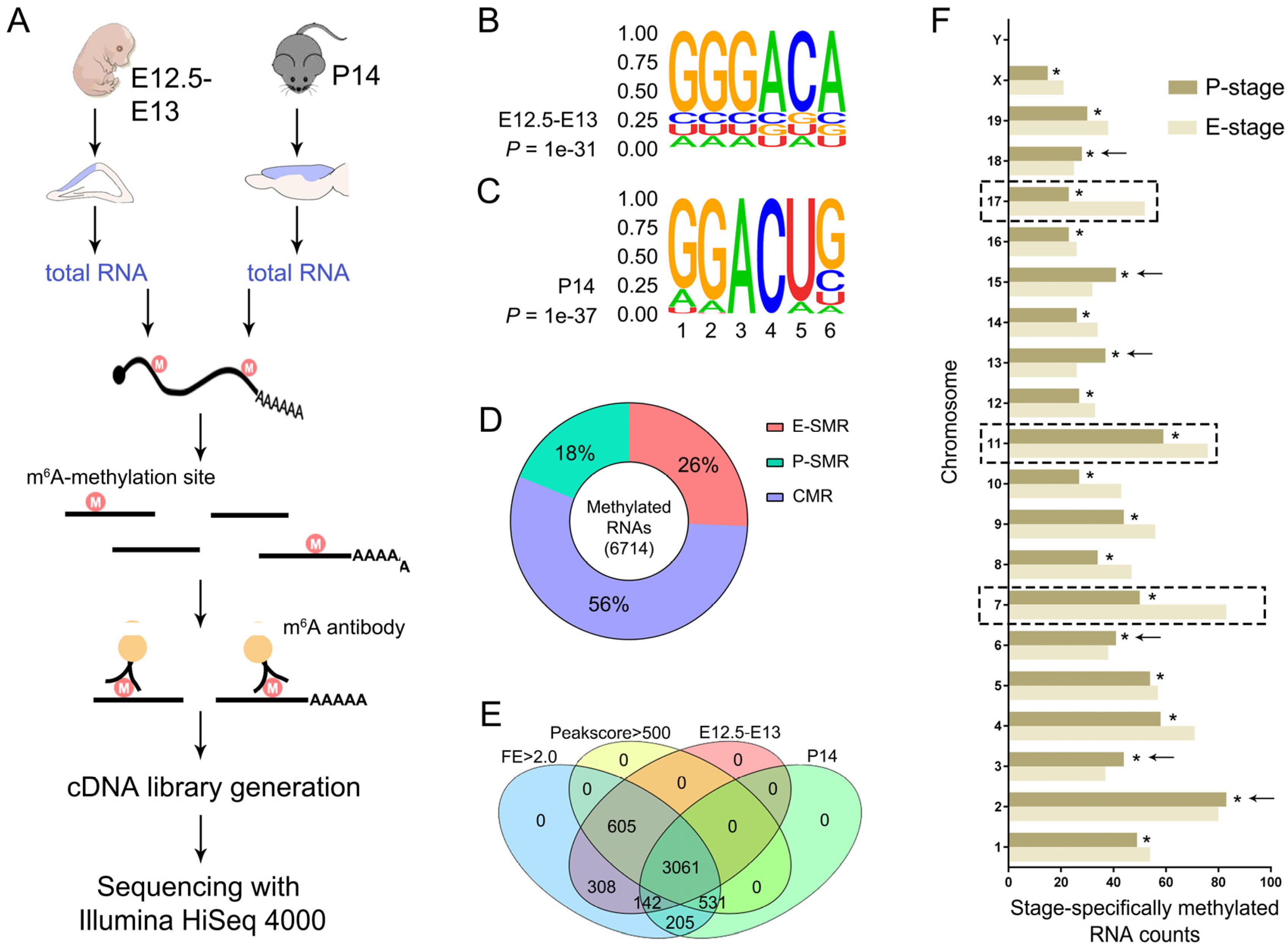 Genes 11 01139 g001