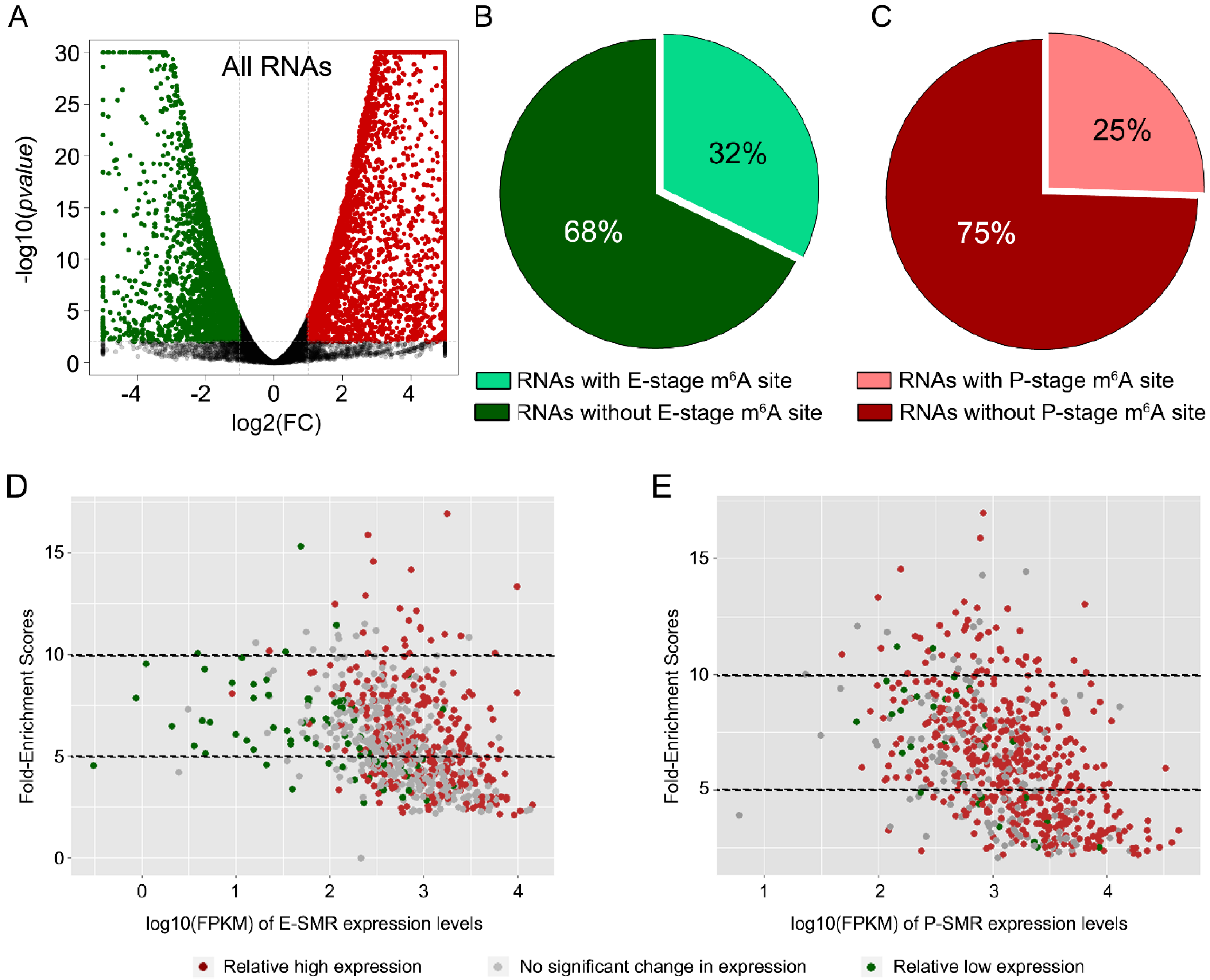 Genes 11 01139 g002