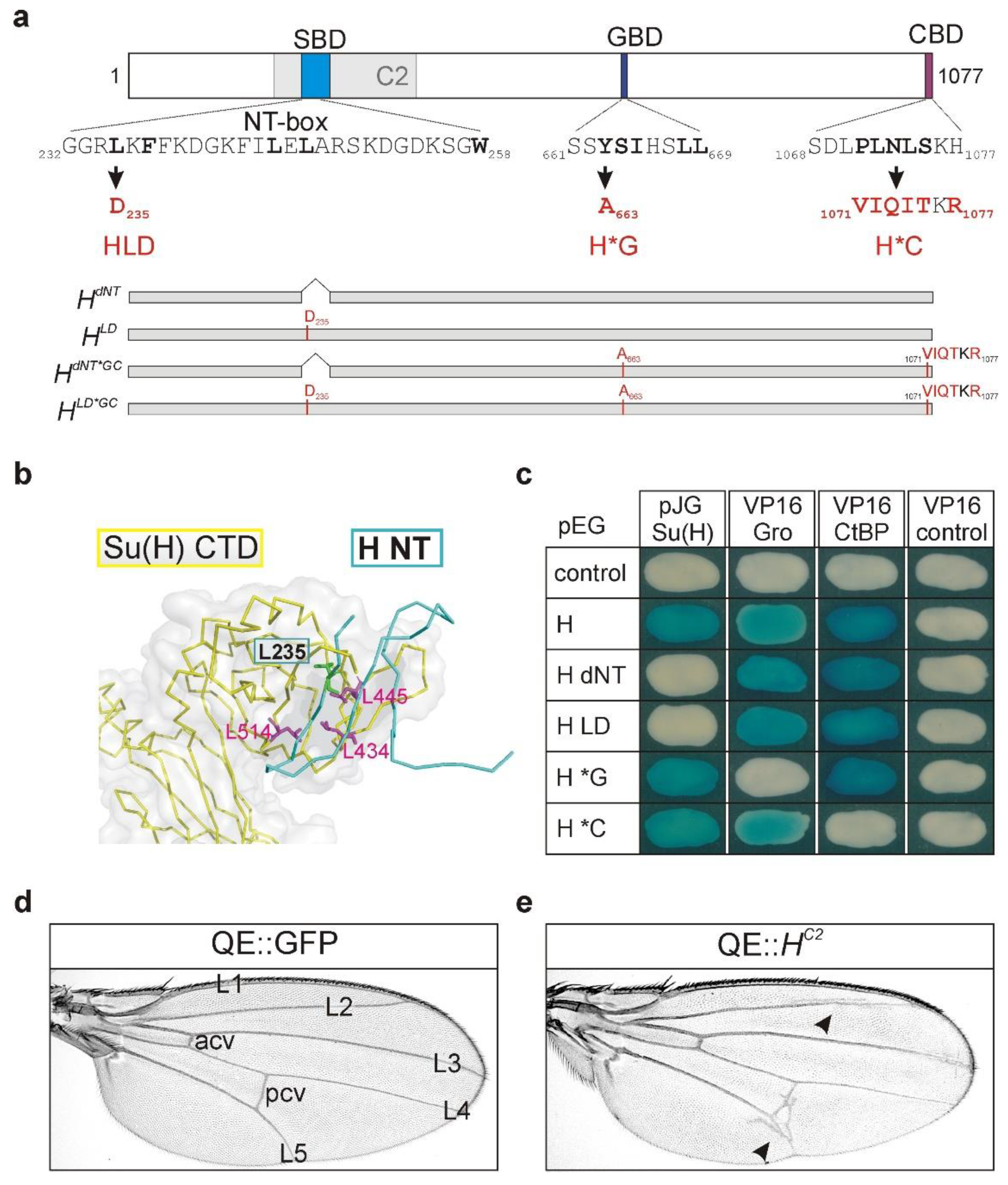 Genes 11 01141 g001 Genes 11 01141 g001
