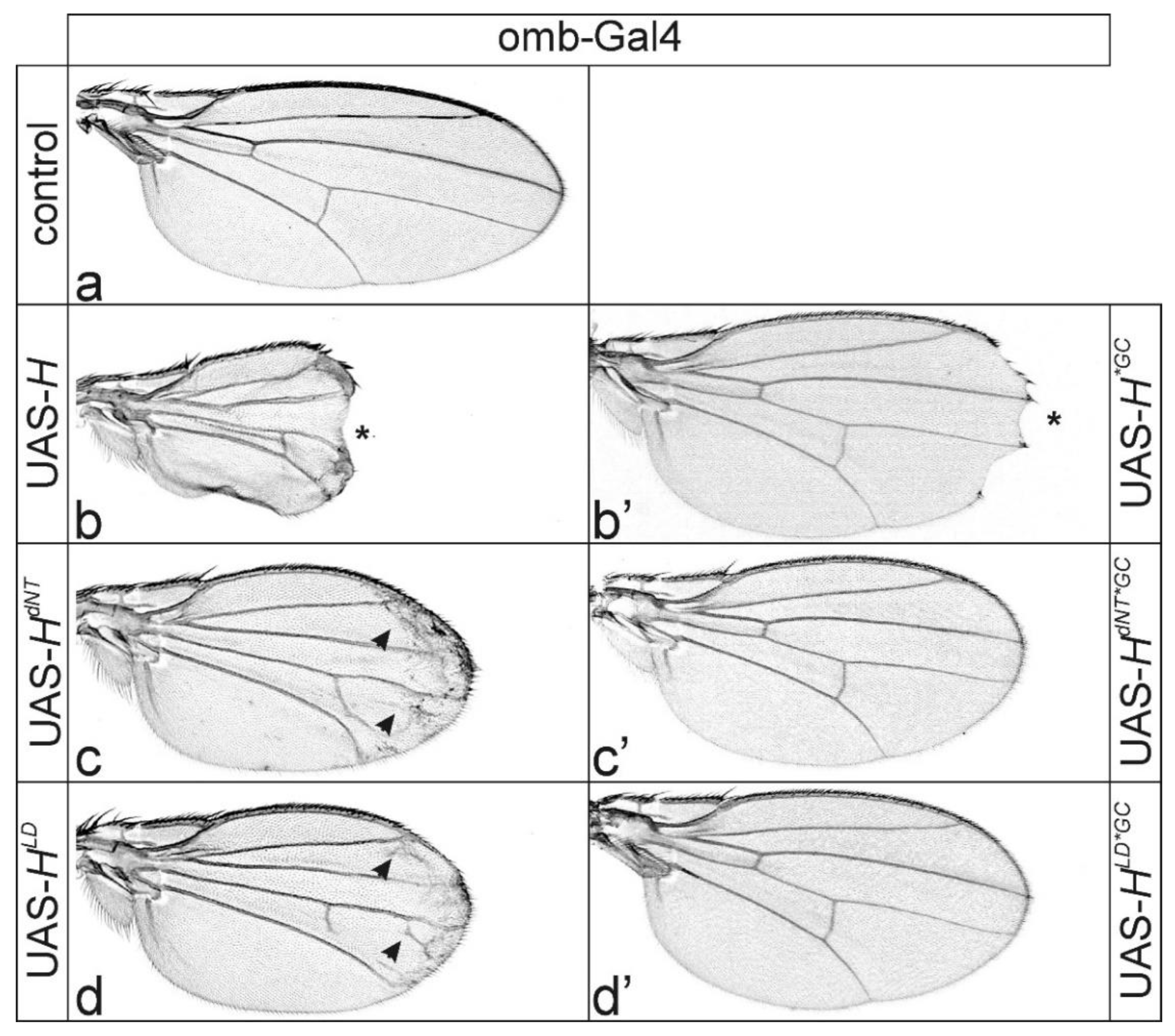 Genes 11 01141 g004 Genes 11 01141 g004