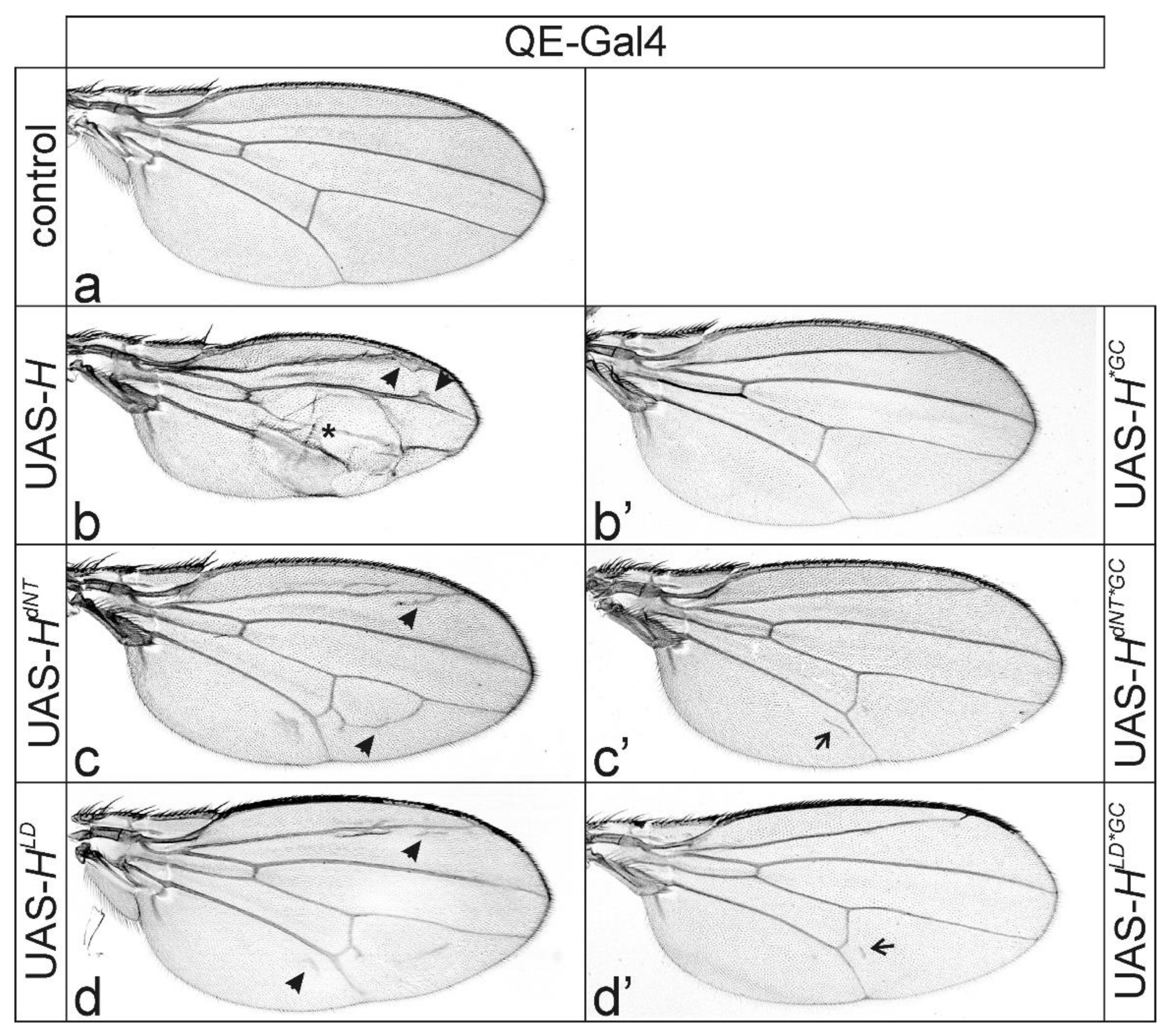 Genes 11 01141 g005 Genes 11 01141 g005
