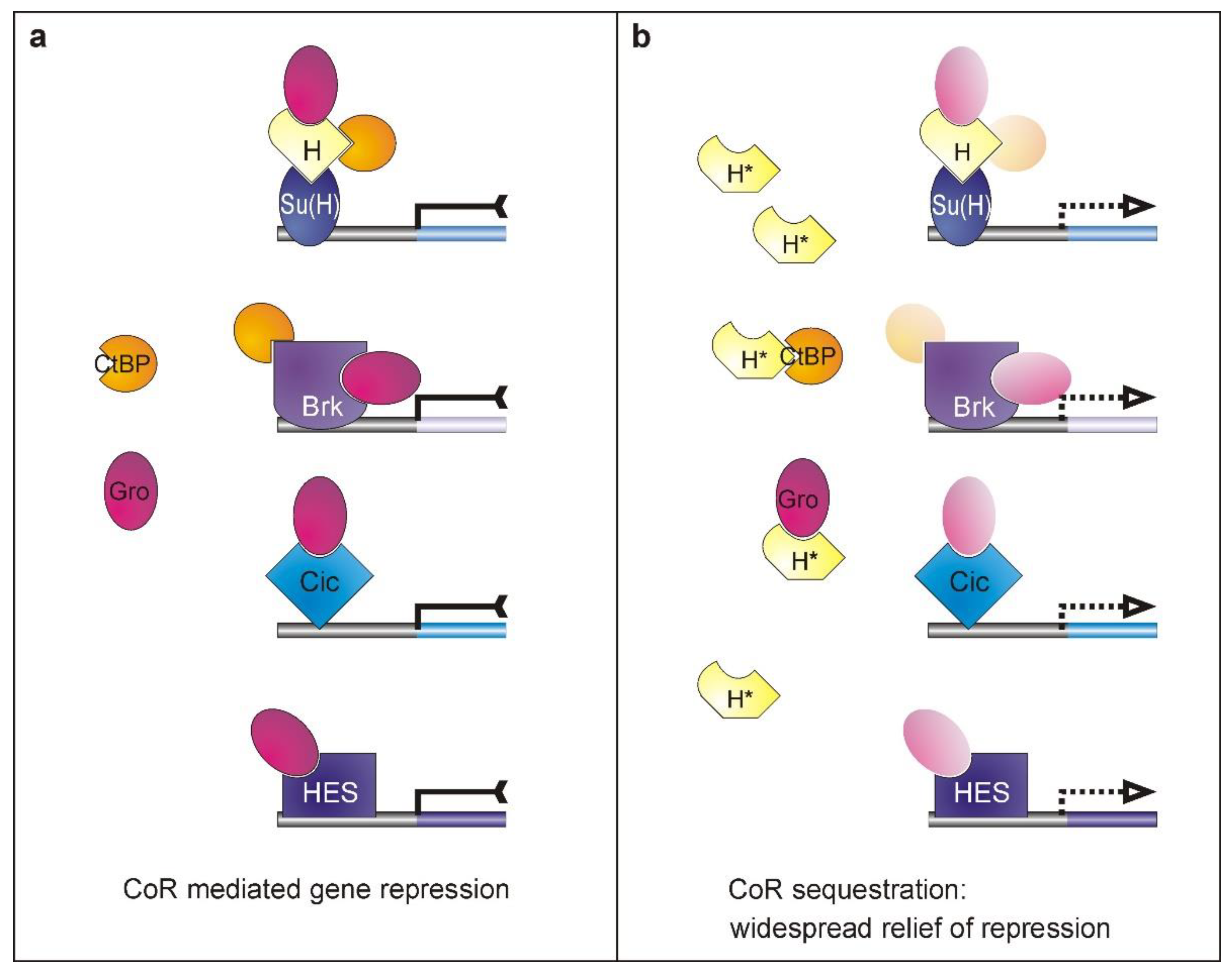 Genes 11 01141 g006 Genes 11 01141 g006
