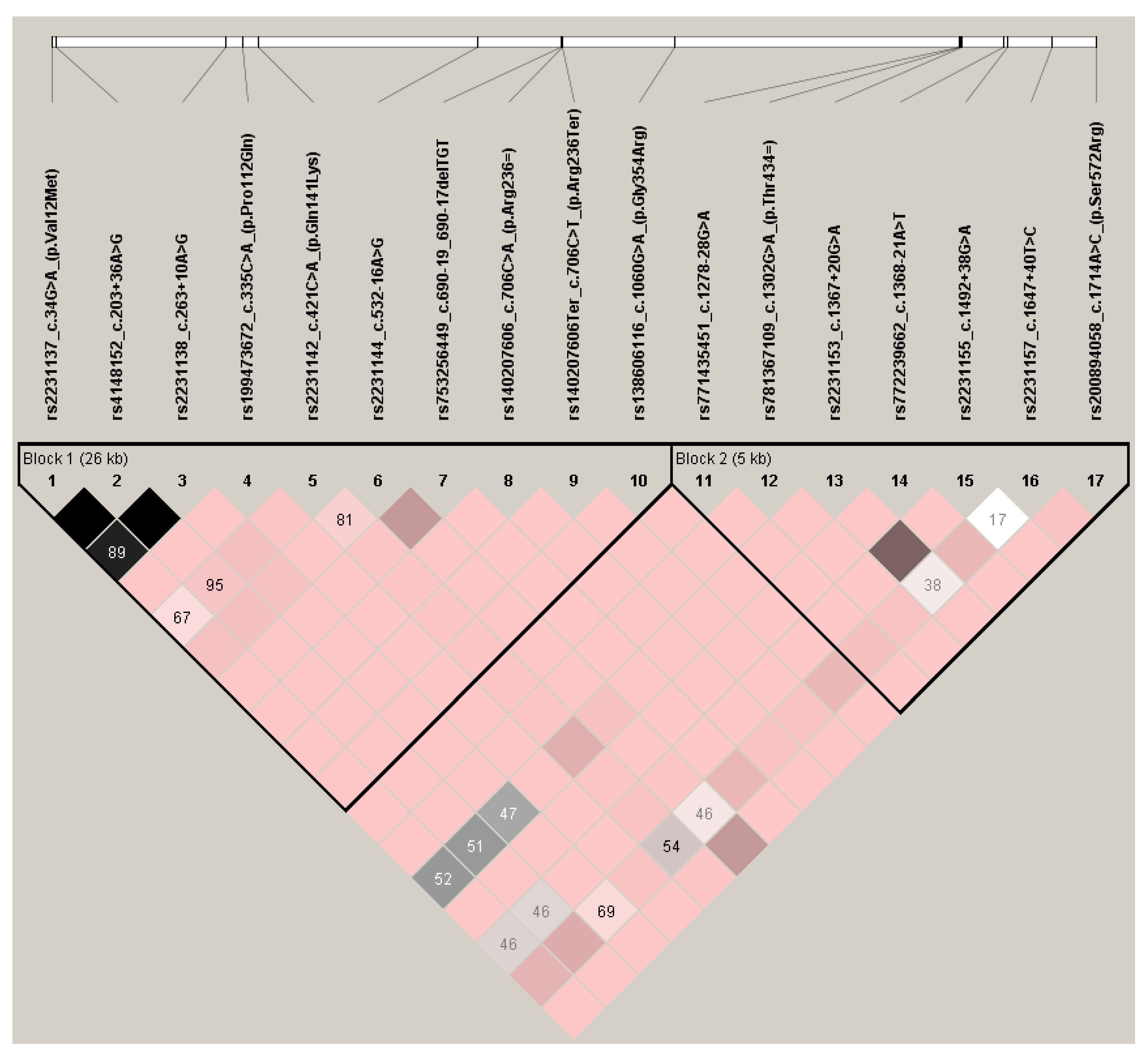 Genes 11 01144 g002 Genes 11 01144 g002