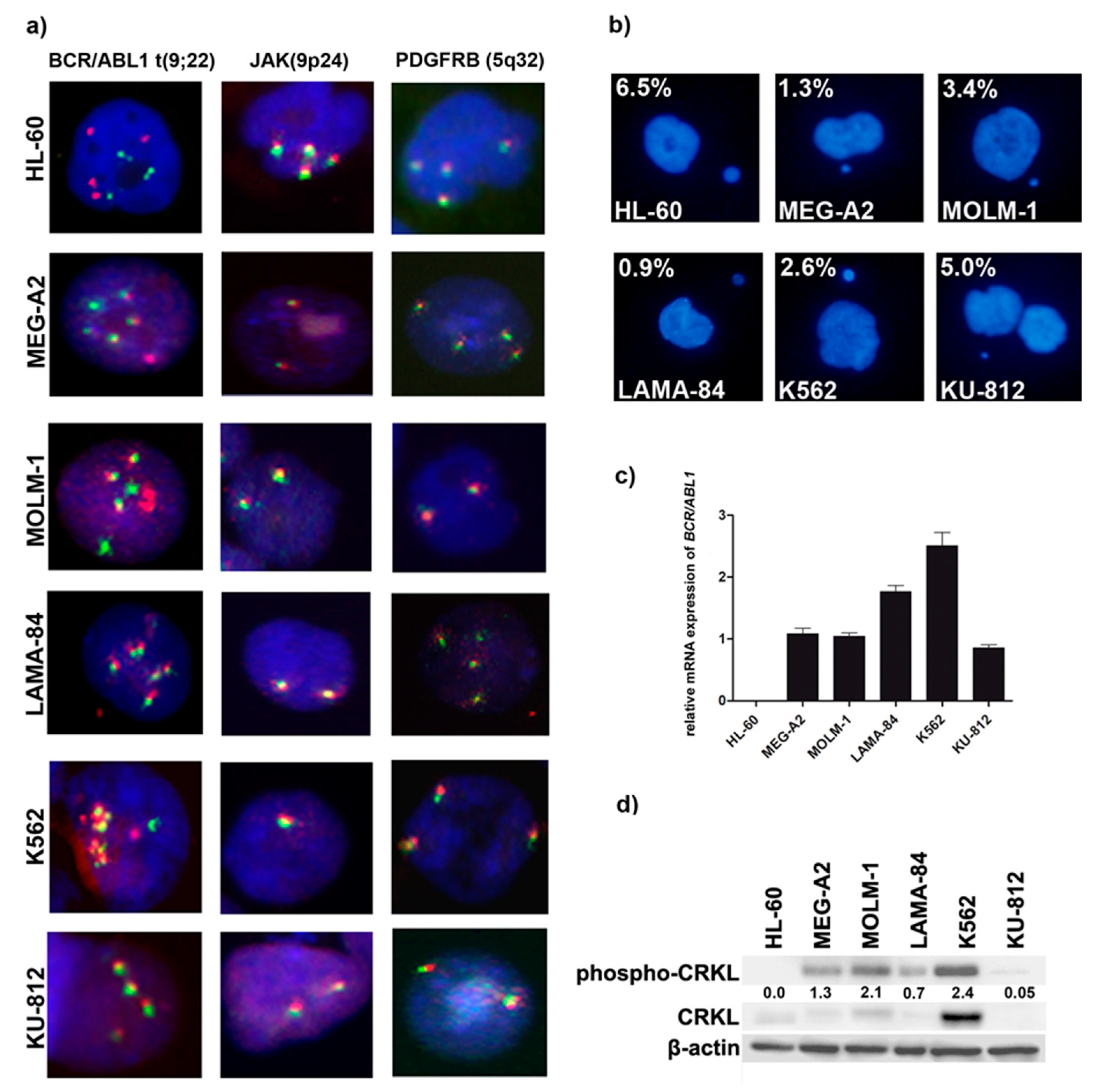 Genes 11 01145 g001