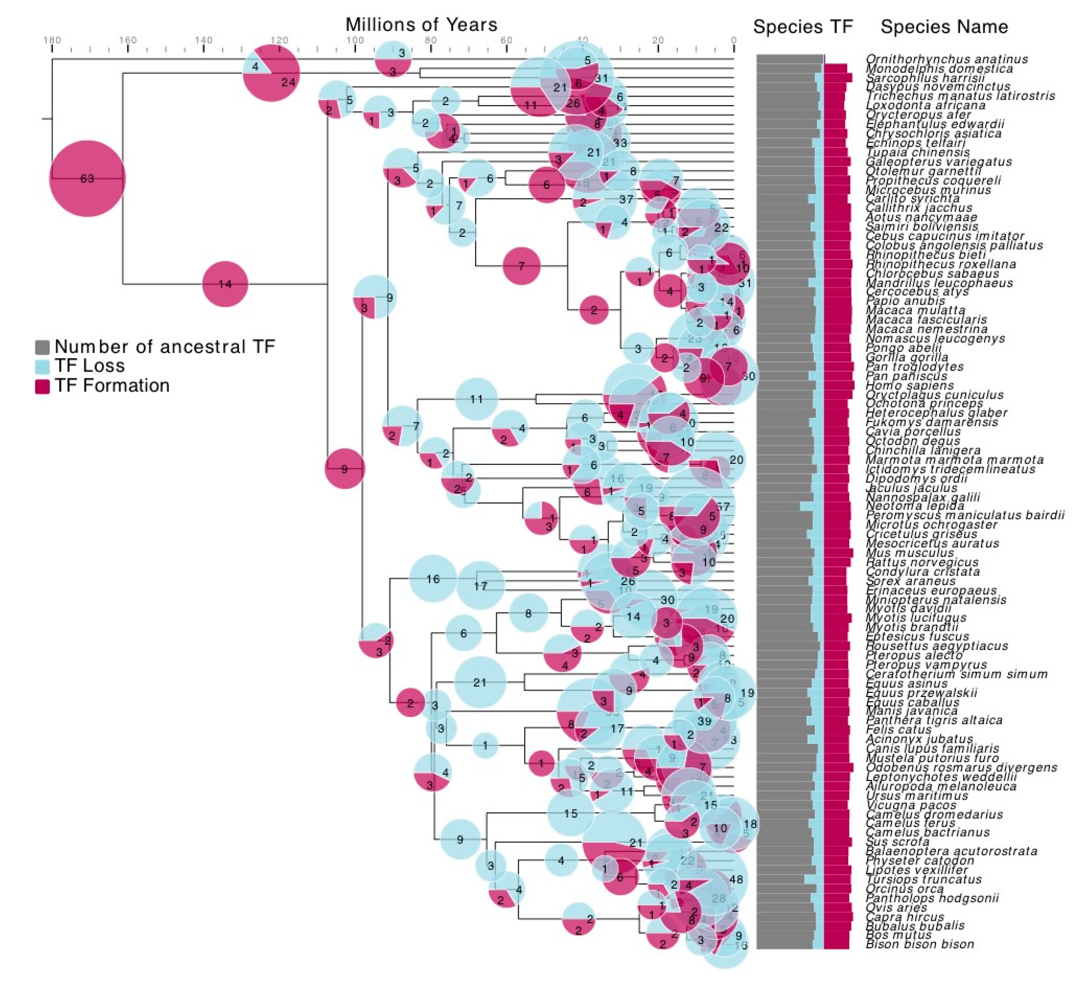 Genes 11 01148 g002 Genes 11 01148 g002