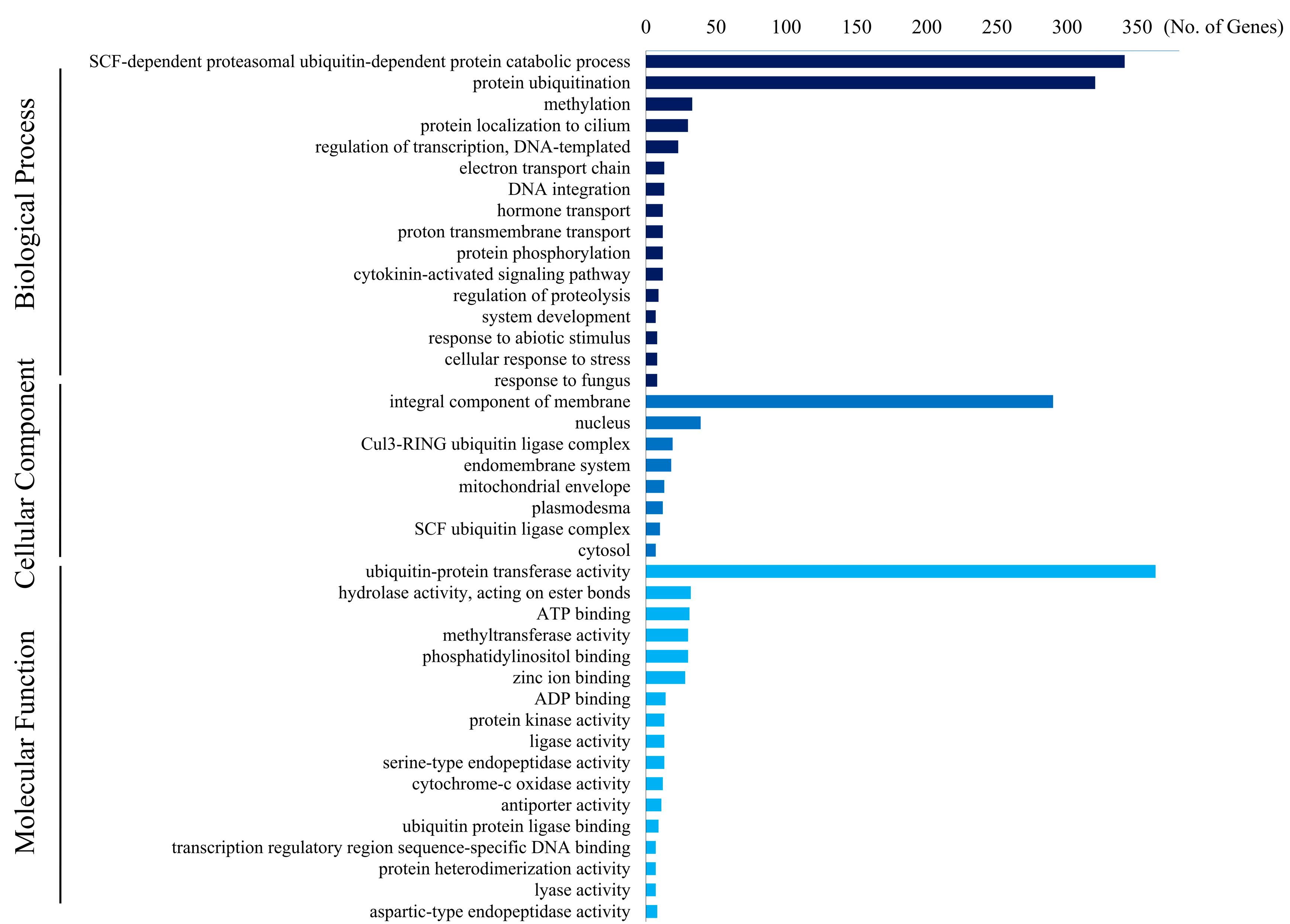 ジーン  ドール　gene Insights into genetics of floral development in Amborella