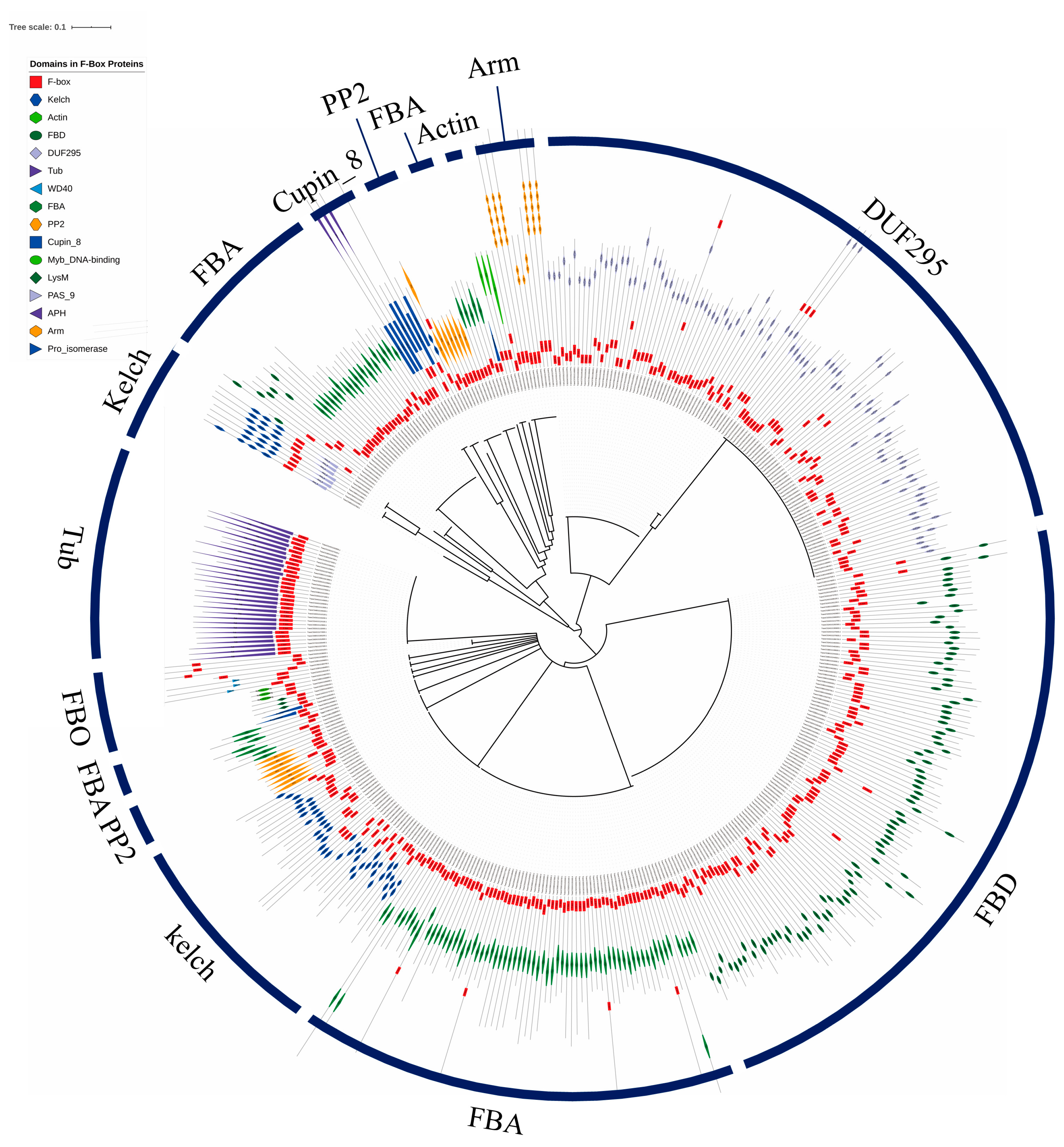 ジーン  ドール　gene Insights into genetics of floral development in Amborella