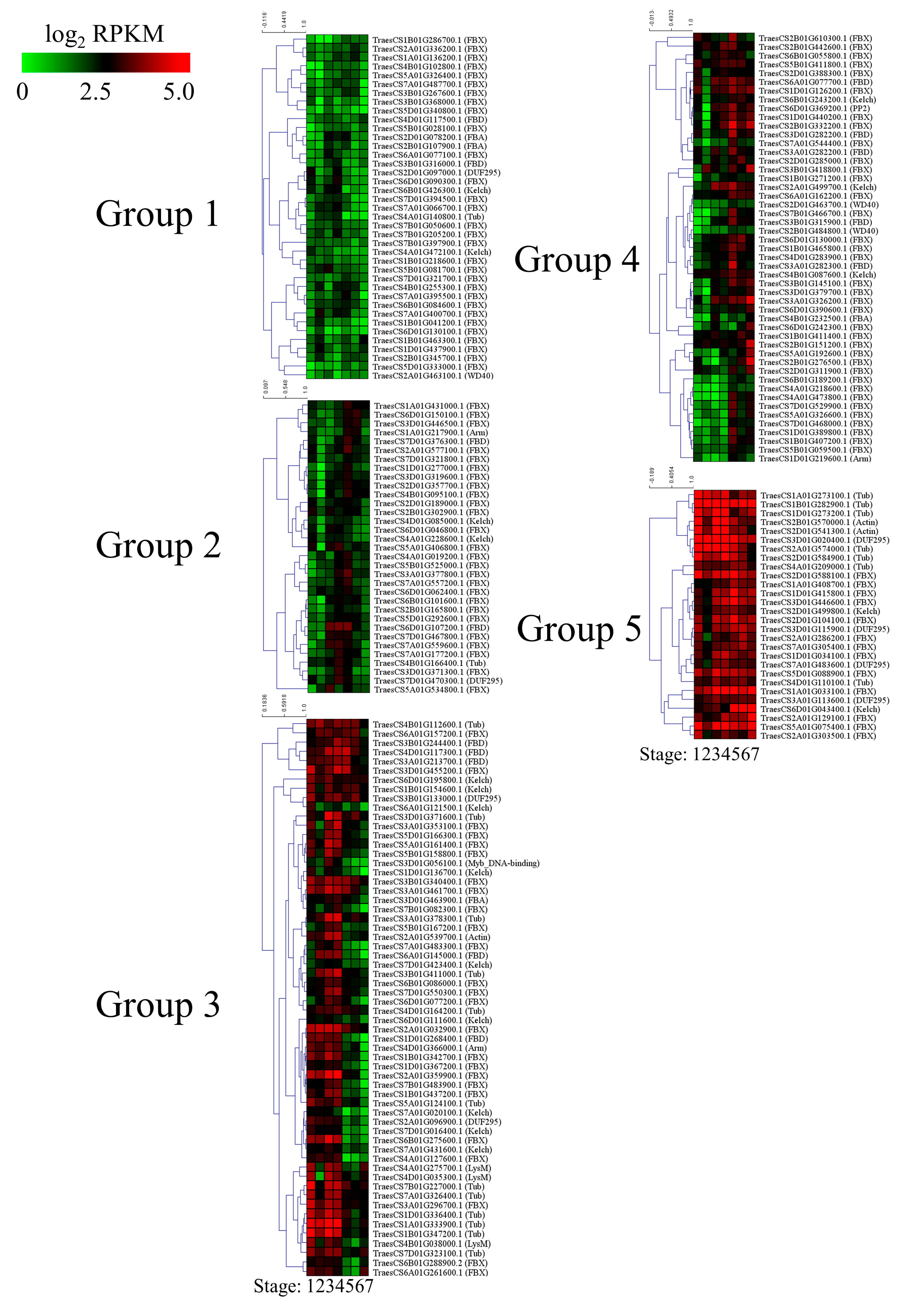 ジーン  ドール　gene Genome-Wide Identification, Structure Characterization, and