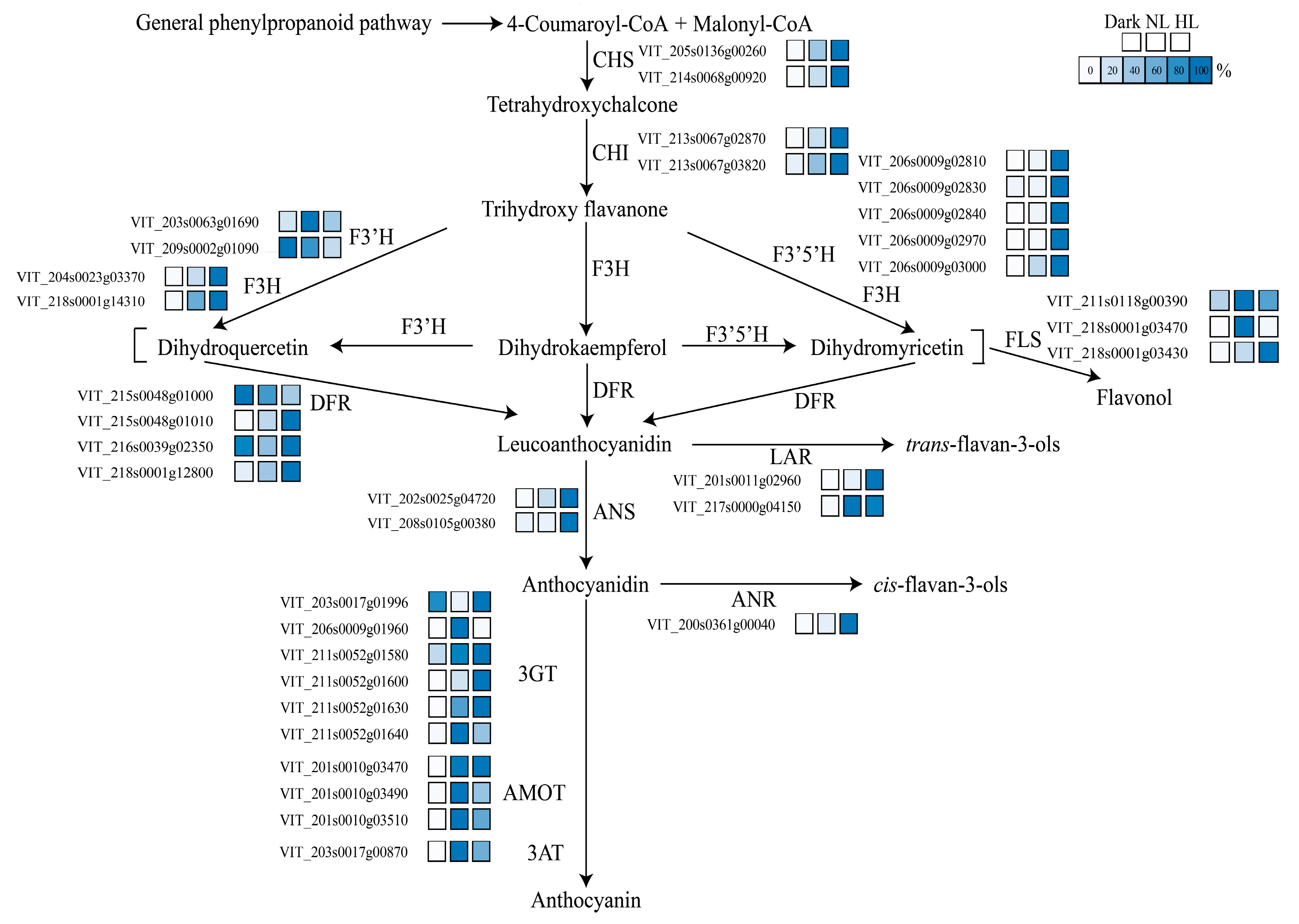 Genes 11 01156 g003 Genes 11 01156 g003
