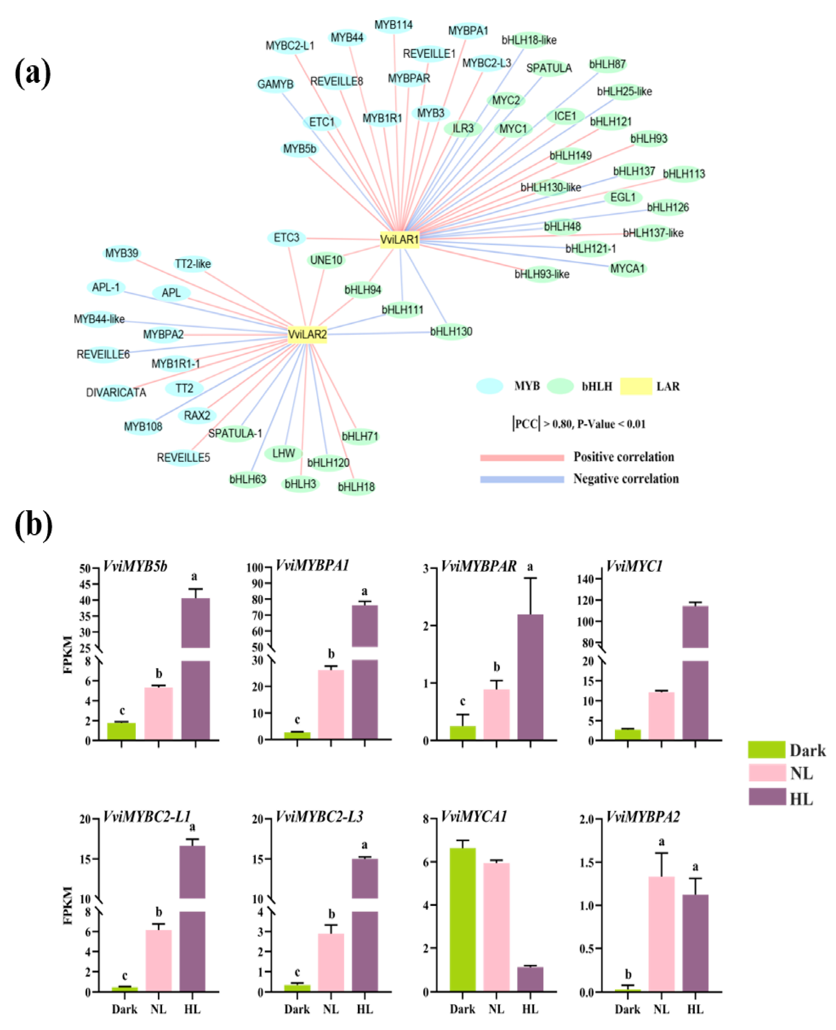 Genes 11 01156 g004 Genes 11 01156 g004