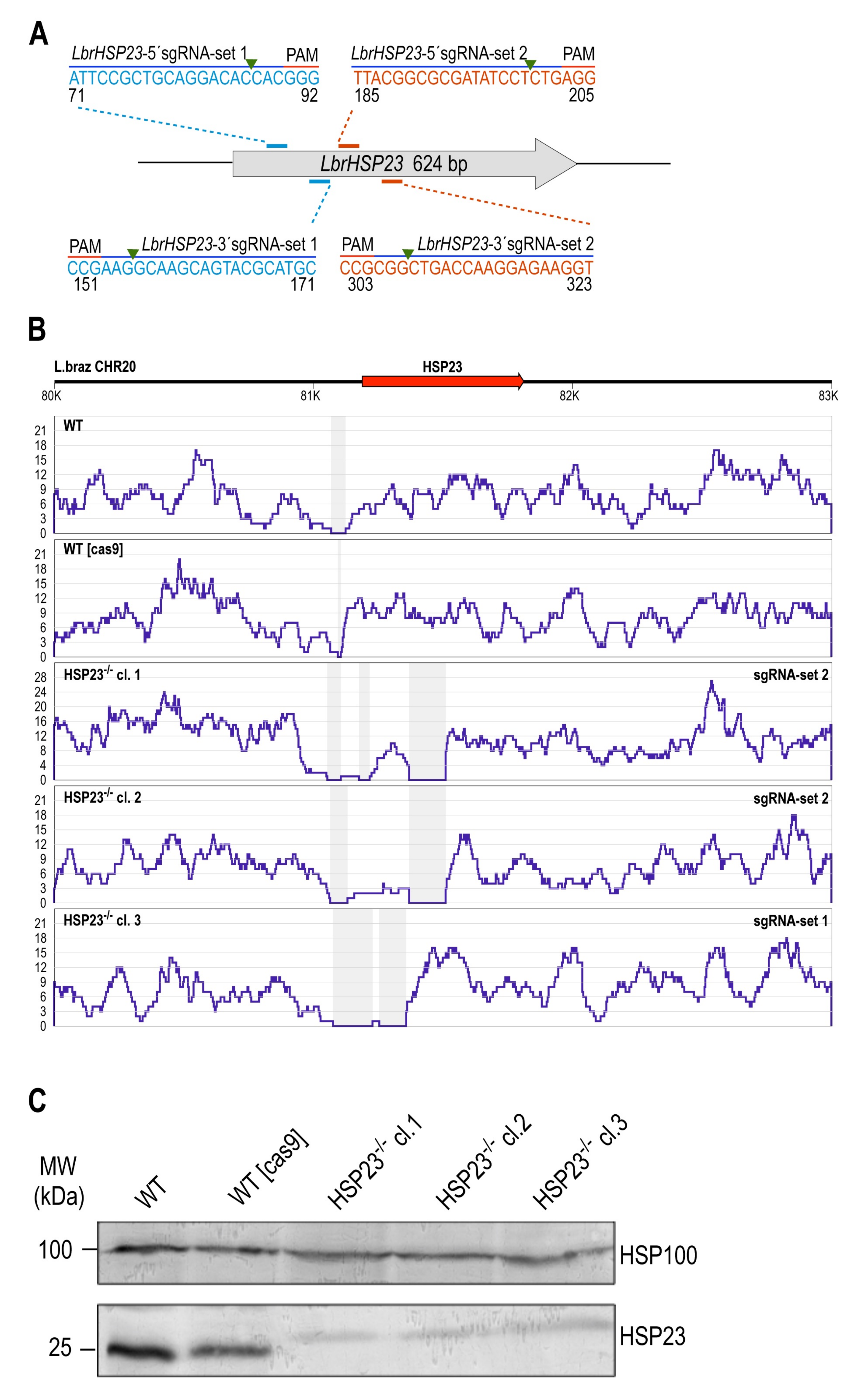 Genes 11 01159 g002 Genes 11 01159 g002