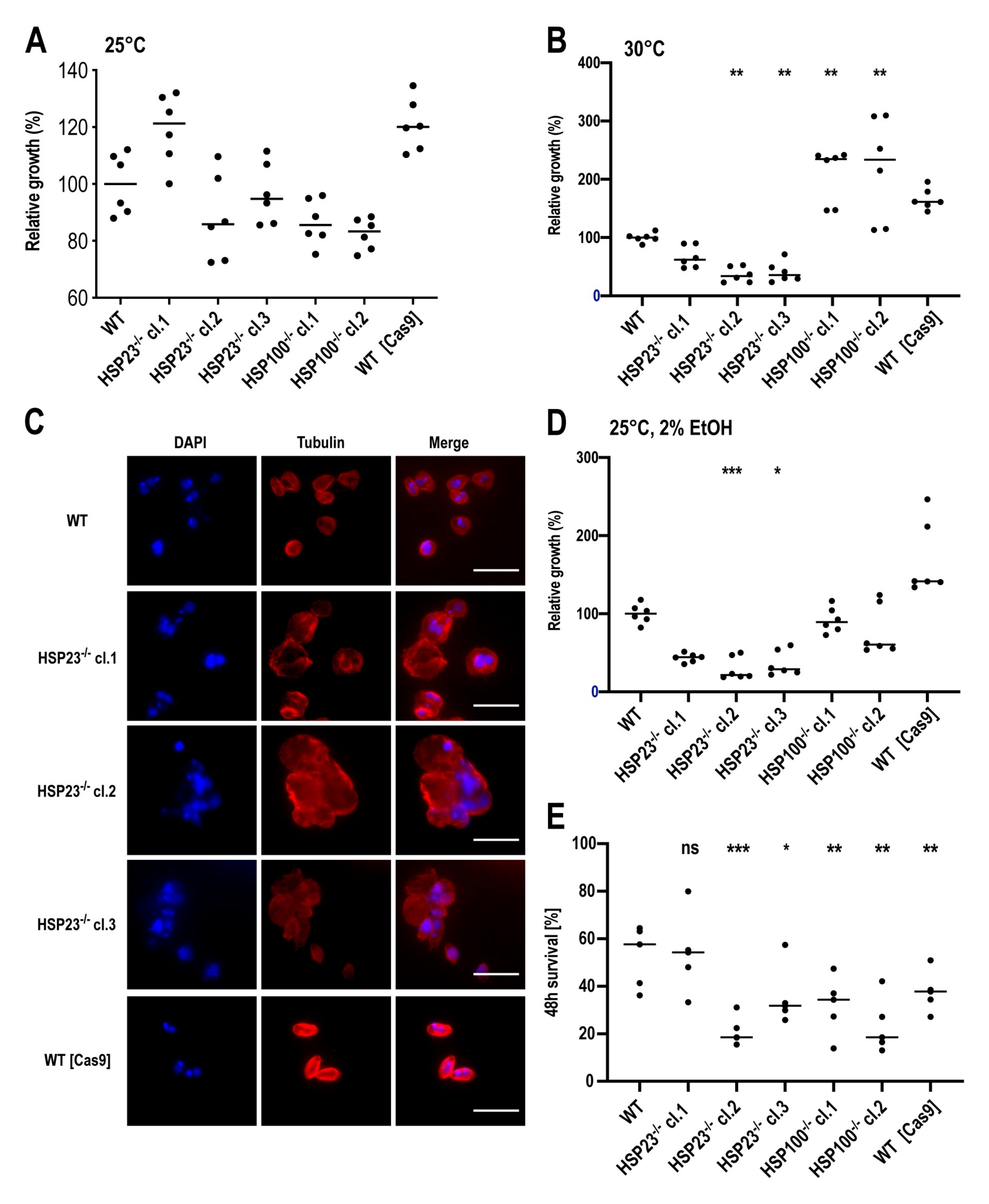 Genes 11 01159 g004 Genes 11 01159 g004
