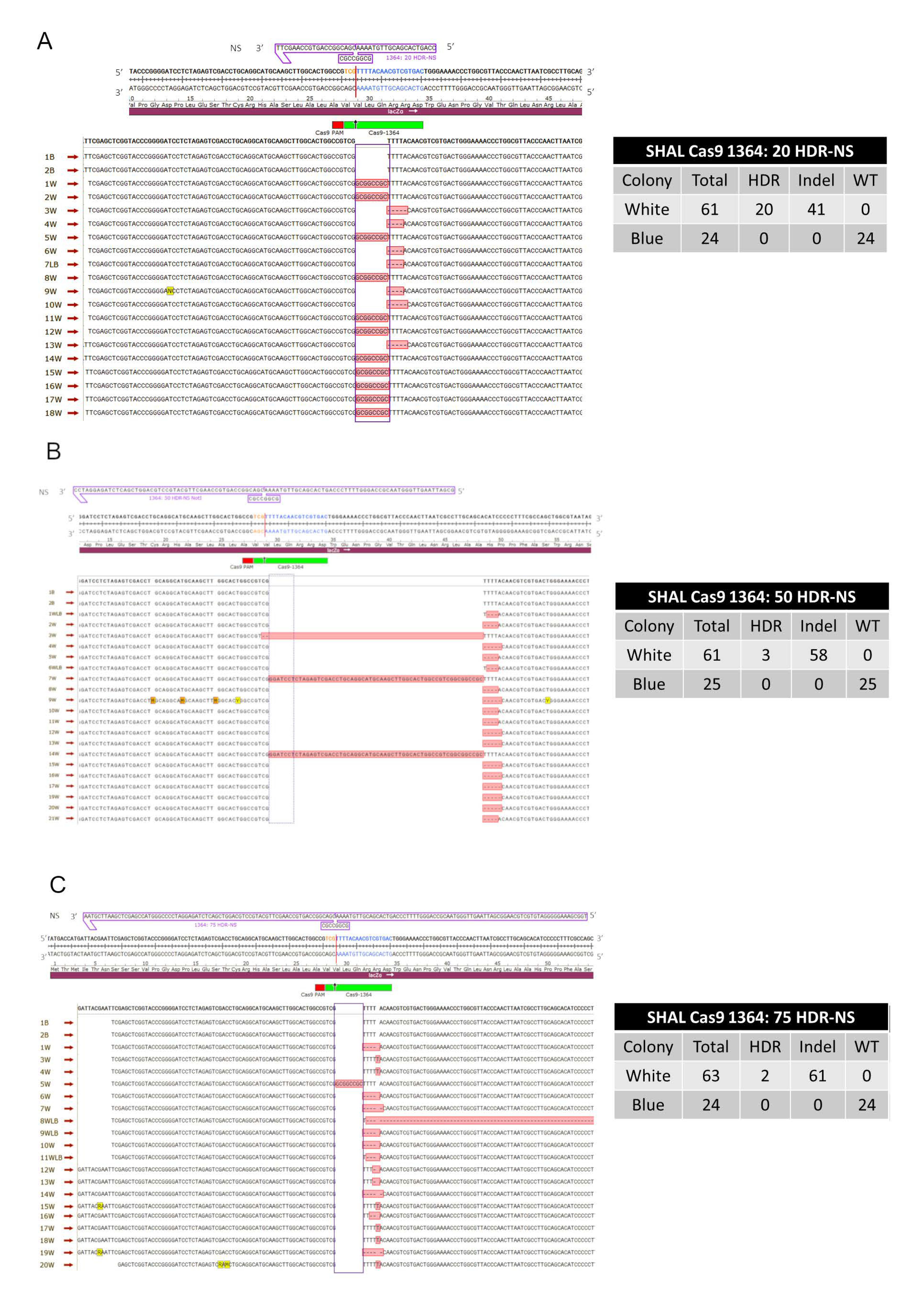 Genes 11 01160 g004