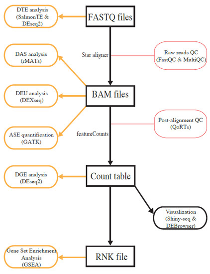 the bam file format is technology dependent. the bam file format is technology dependent.