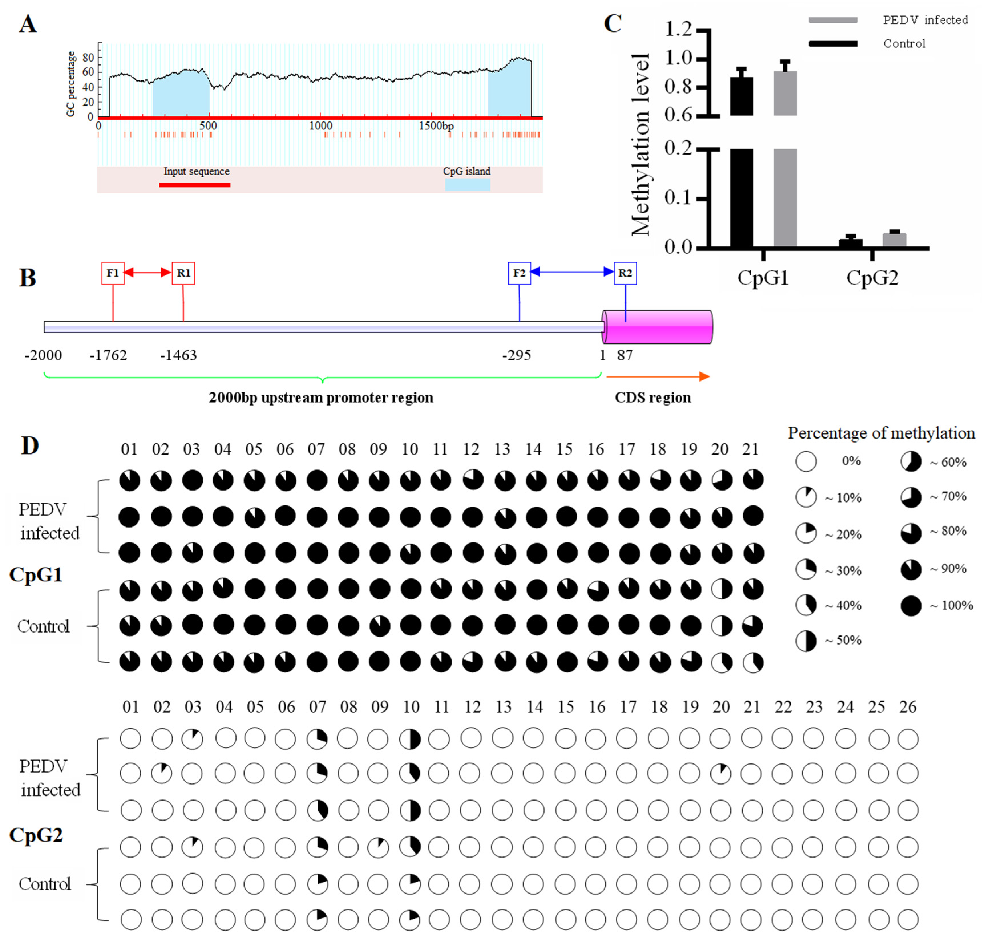 Genes 11 01167 g003 Genes 11 01167 g003