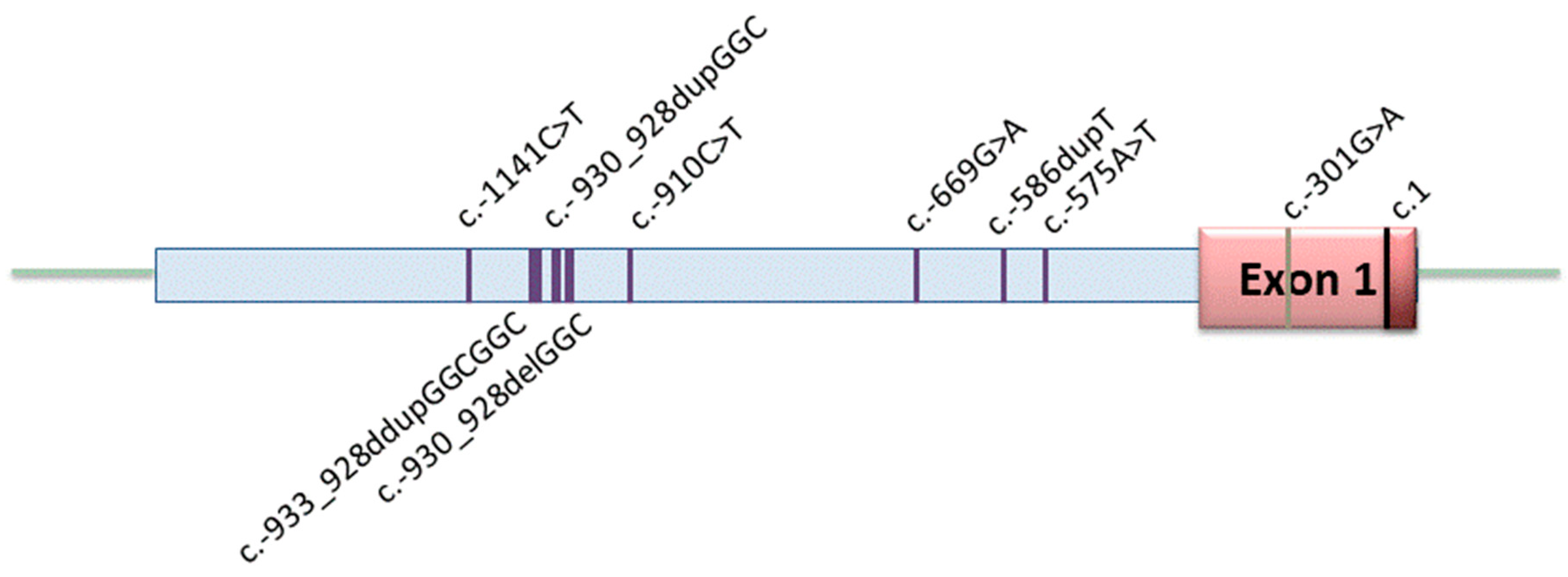 Genes 11 01168 g001