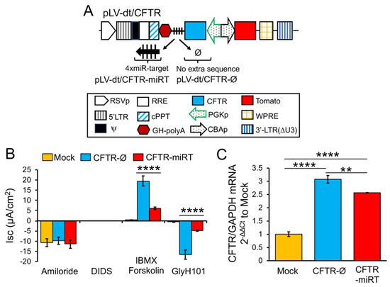 Genes 11 01169 g006 550