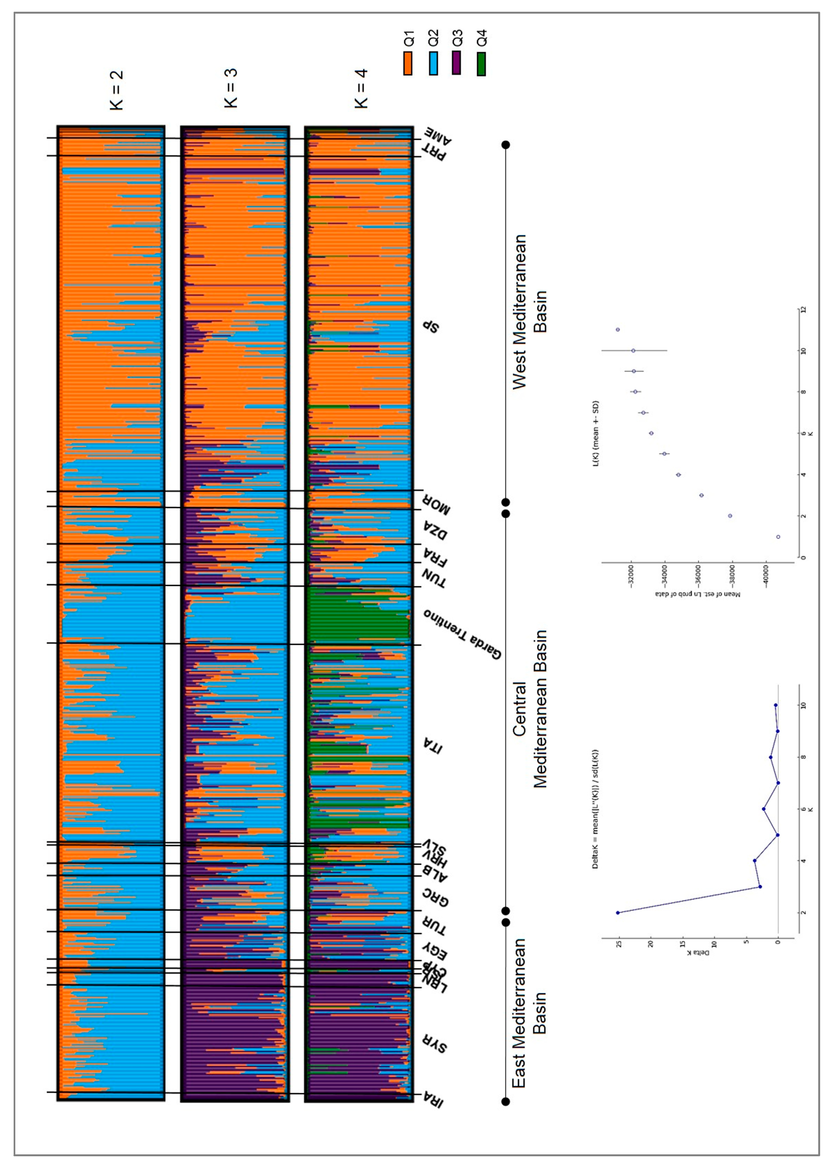 Genes 11 01171 g004