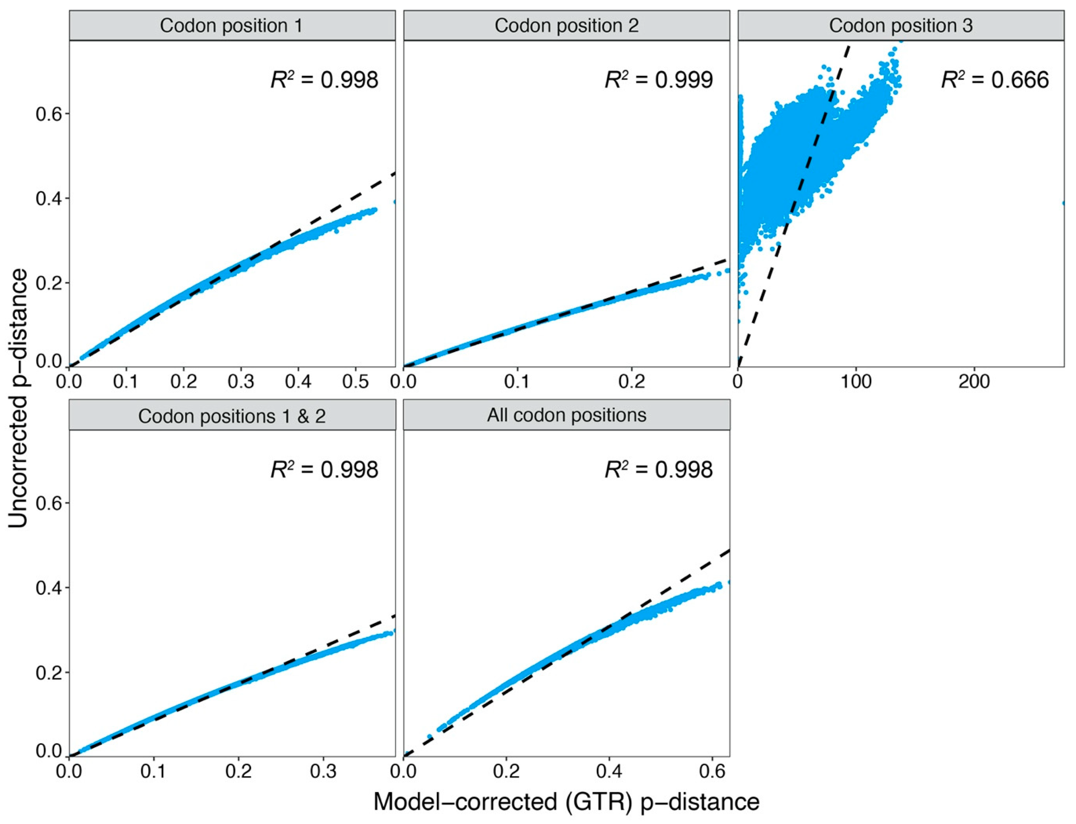 Molecular Clock Graph