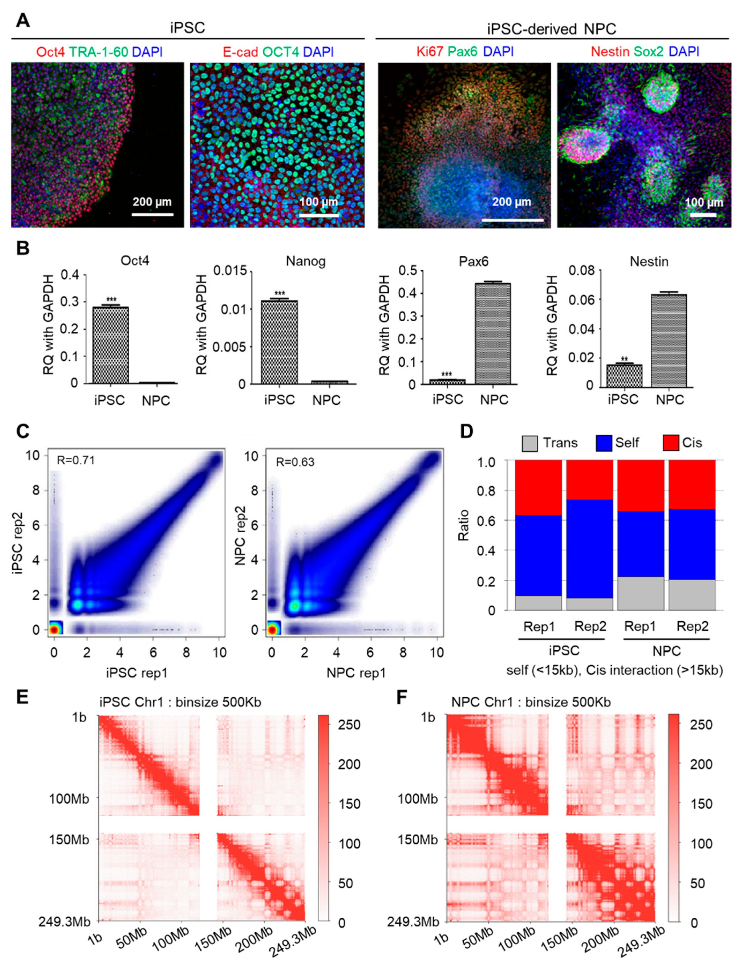 Genes 11 01176 g001 Genes 11 01176 g001