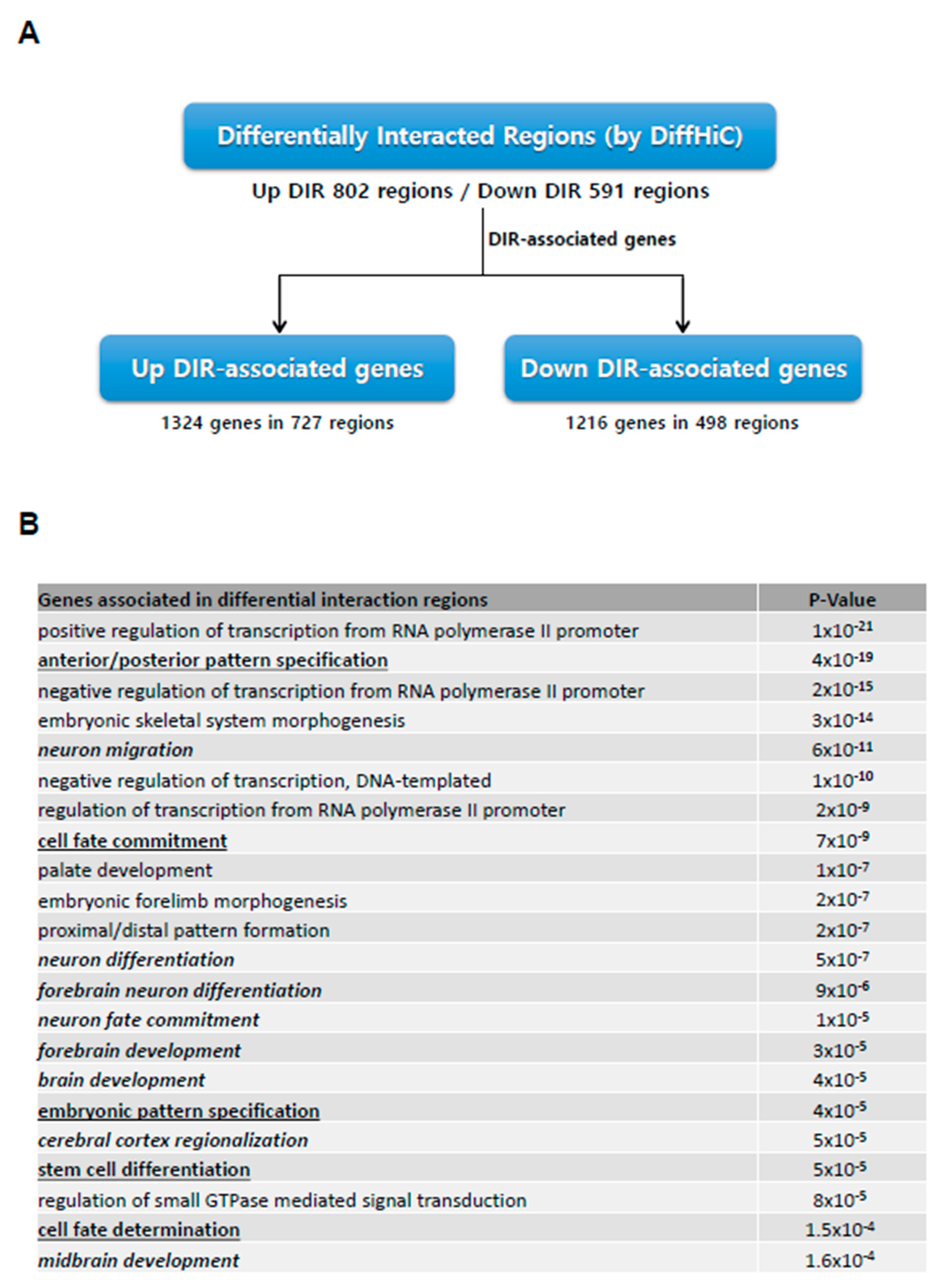 Genes 11 01176 g003 Genes 11 01176 g003