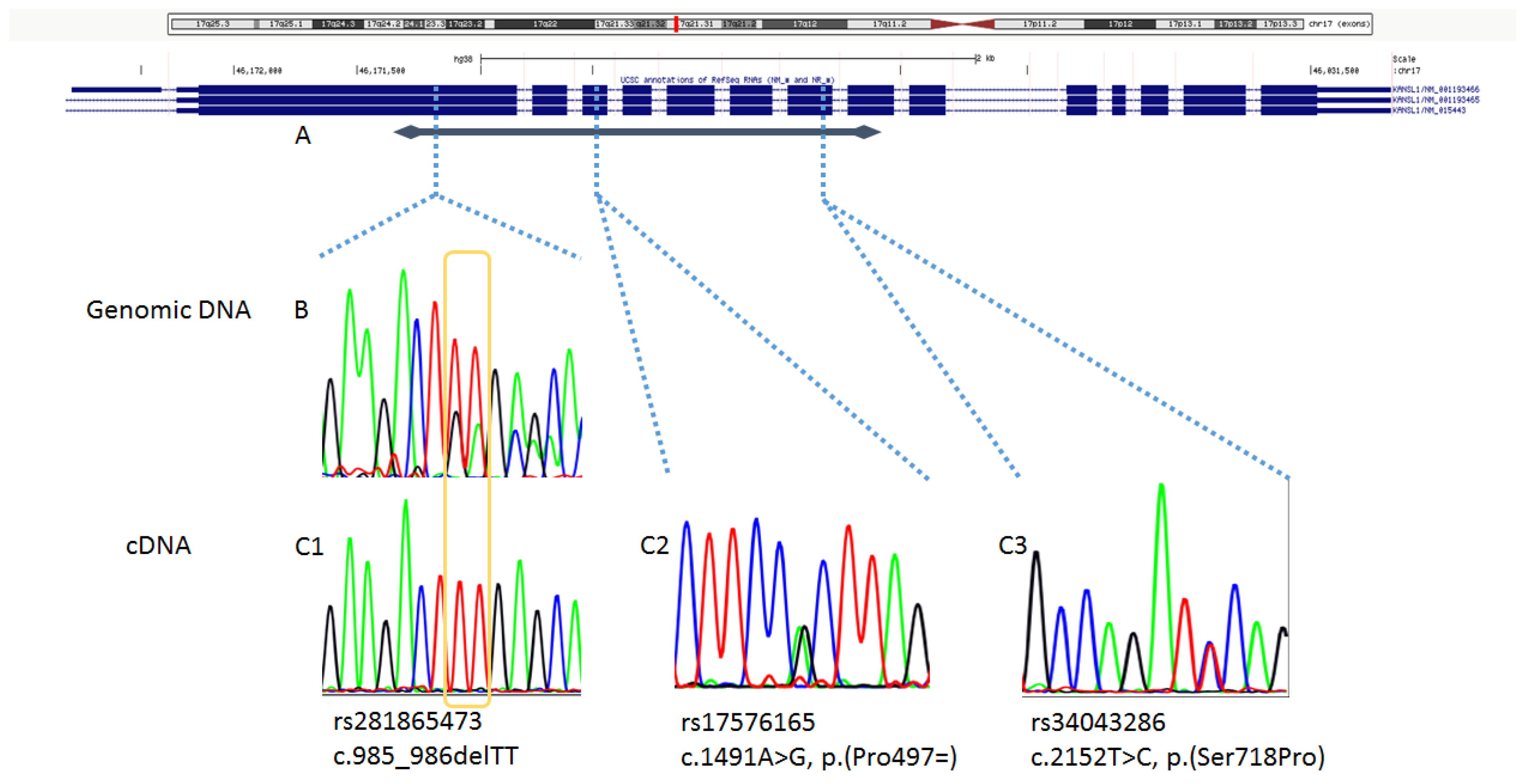 Genes 11 01177 g001 Genes 11 01177 g001