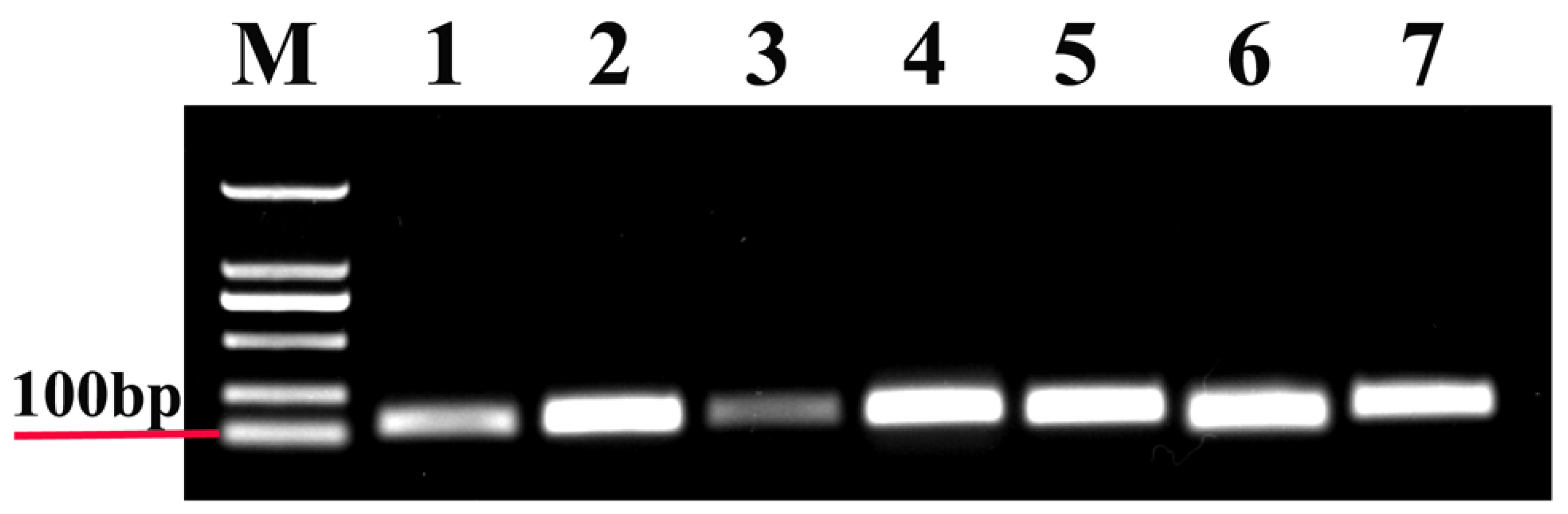 Genes 11 01178 g001