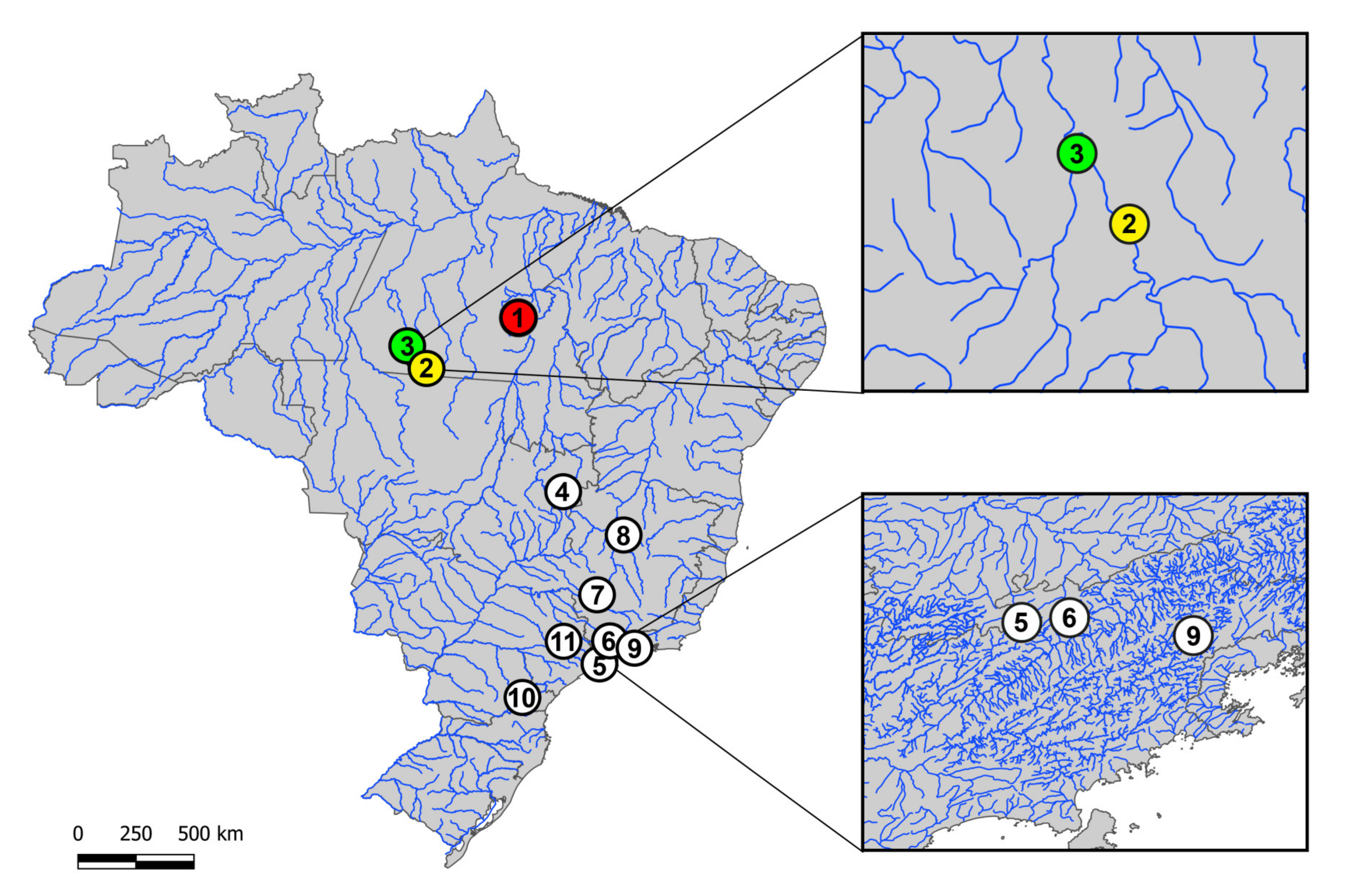 Genes 11 01179 g001 Genes 11 01179 g001