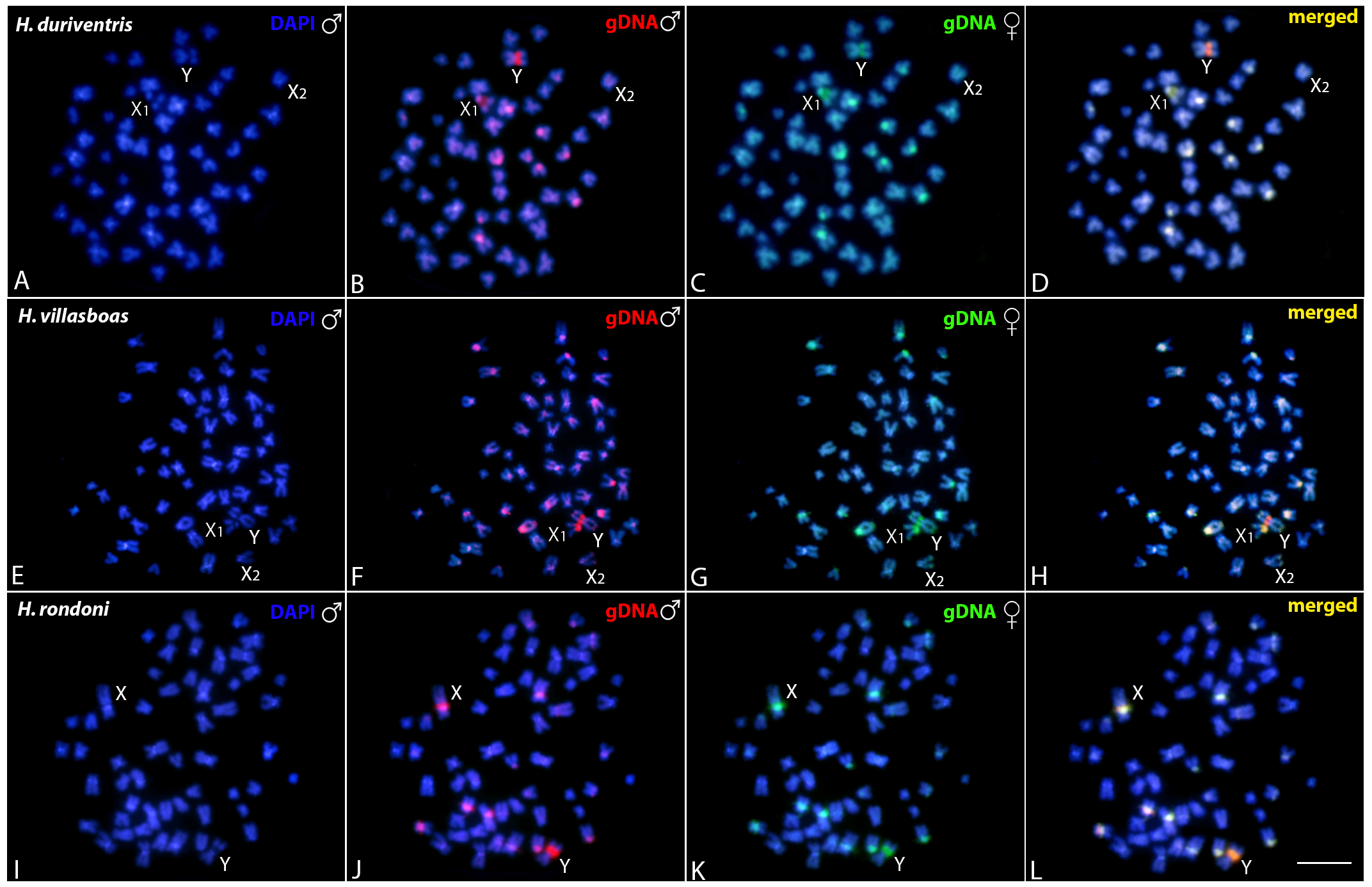 Genes 11 01179 g005 Genes 11 01179 g005