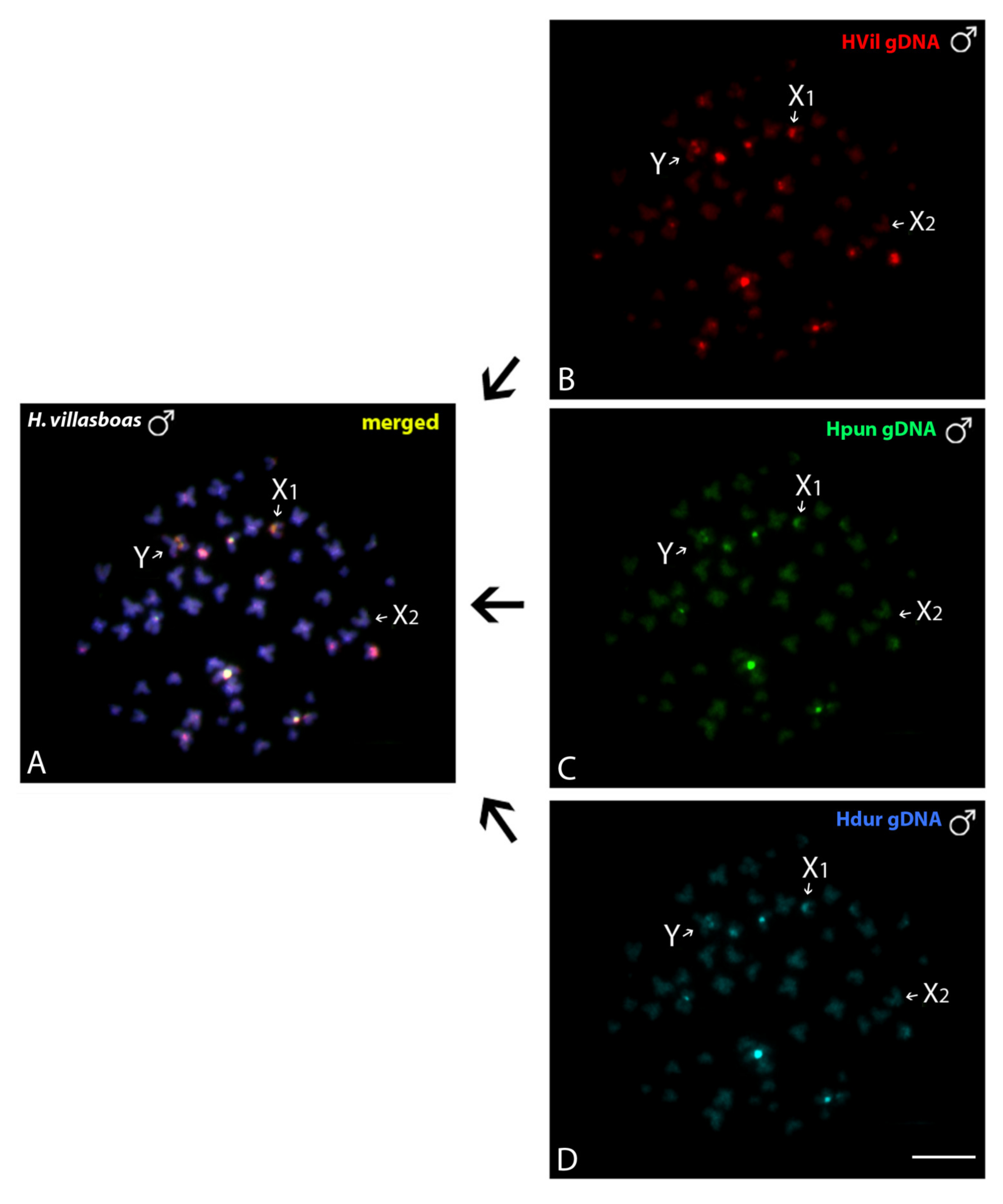 Genes 11 01179 g006 Genes 11 01179 g006