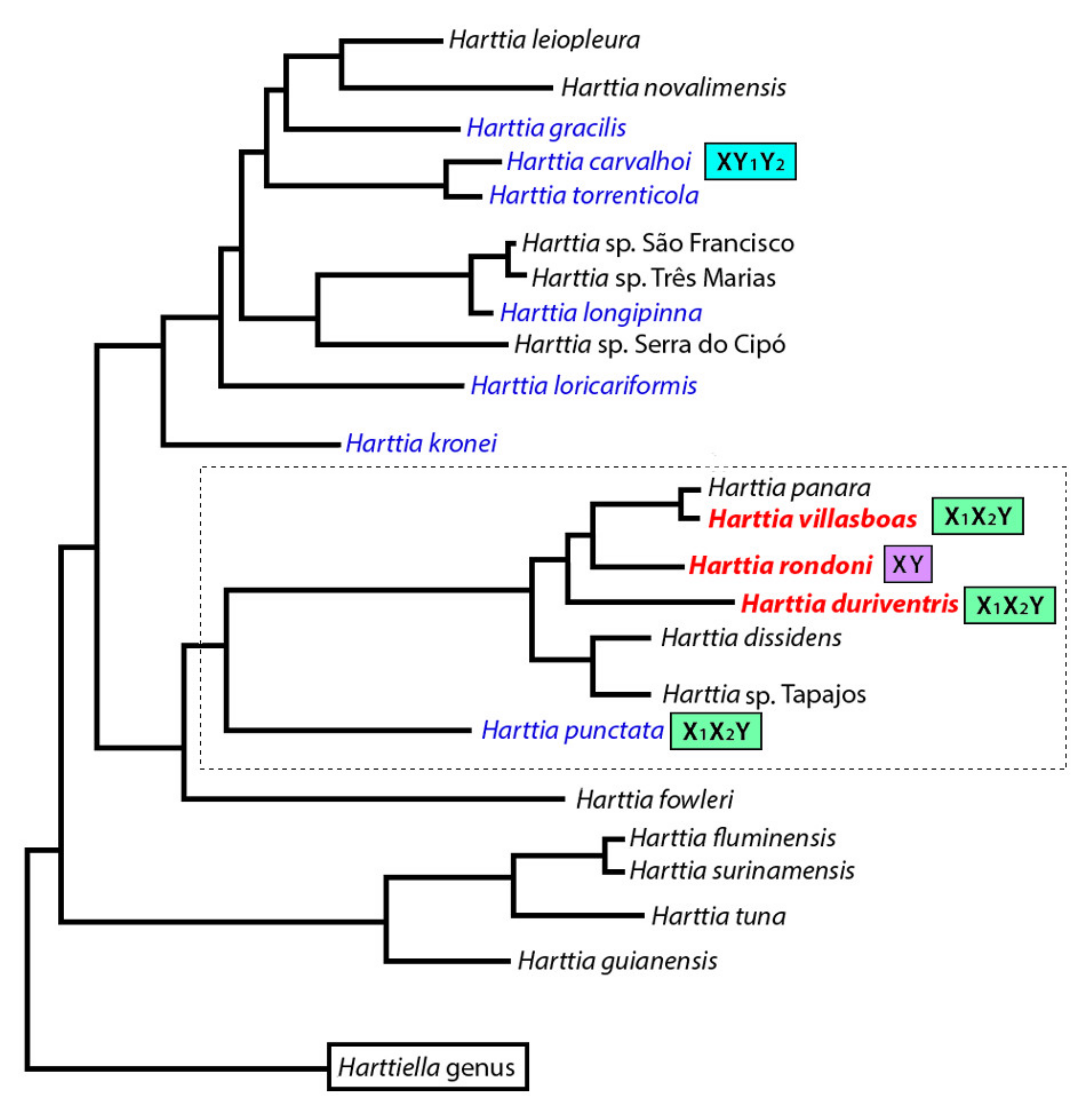 Genes 11 01179 g007 Genes 11 01179 g007