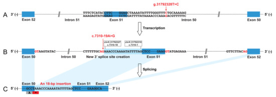 Splicing Characteristics of Dystrophin Pseudoexons and Identification ...